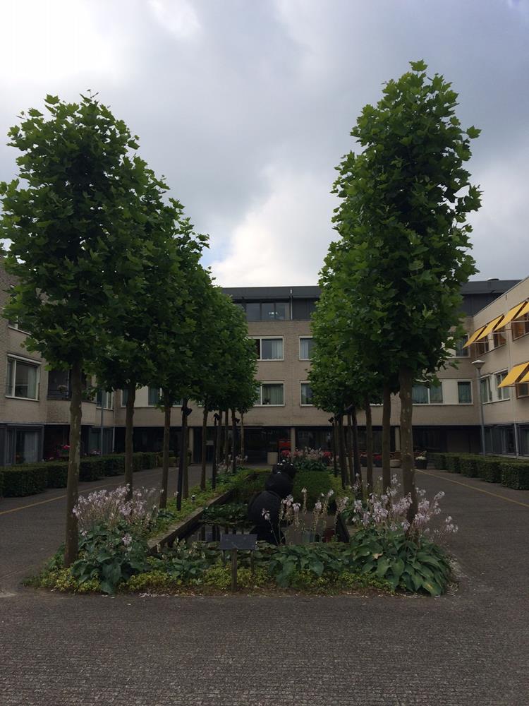 Vloeiweg 61, 5061 GA Oisterwijk, Nederland