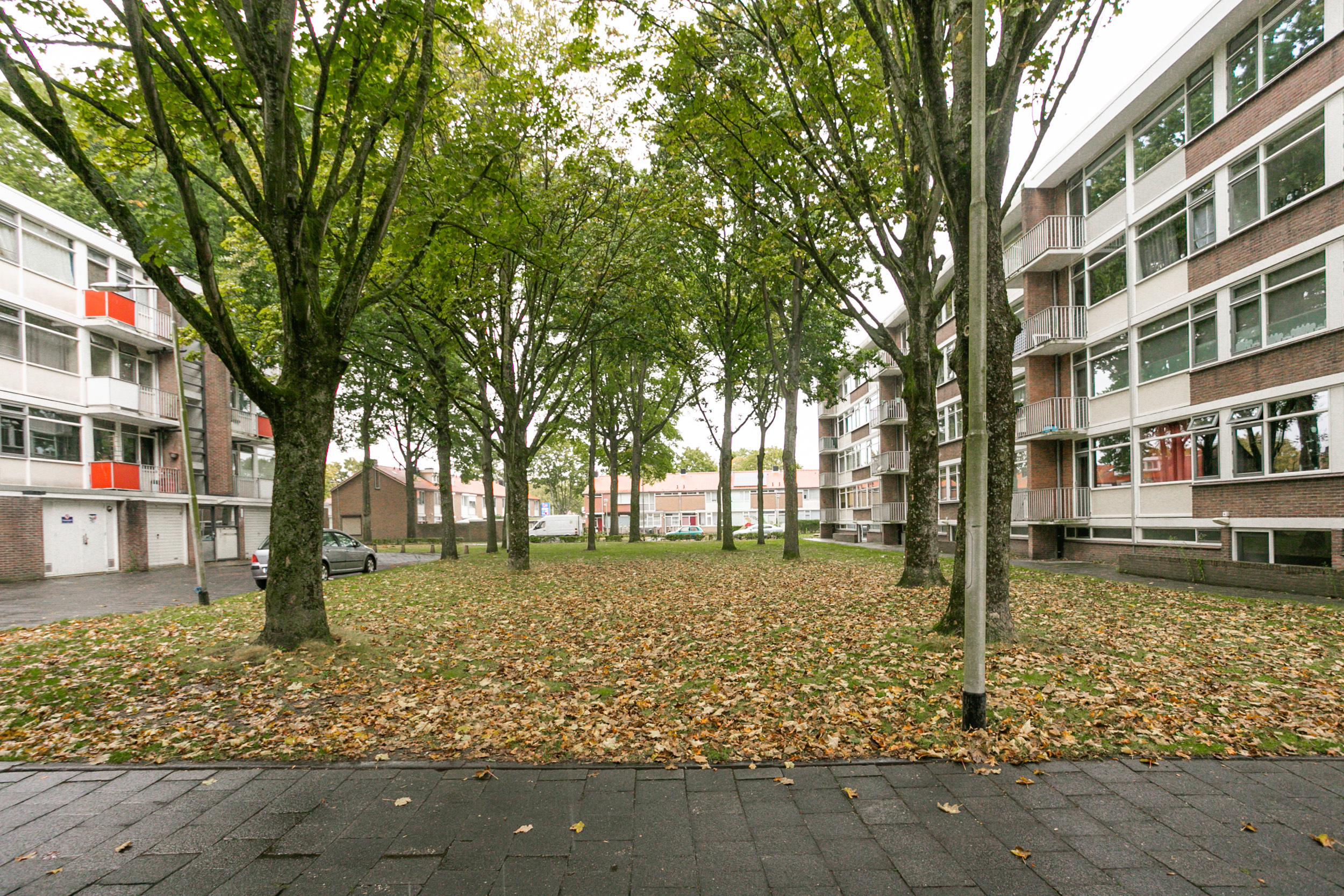 Antilopenweg 25
