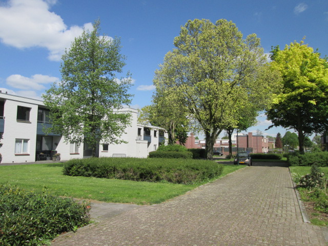 Aertsenstraat 27