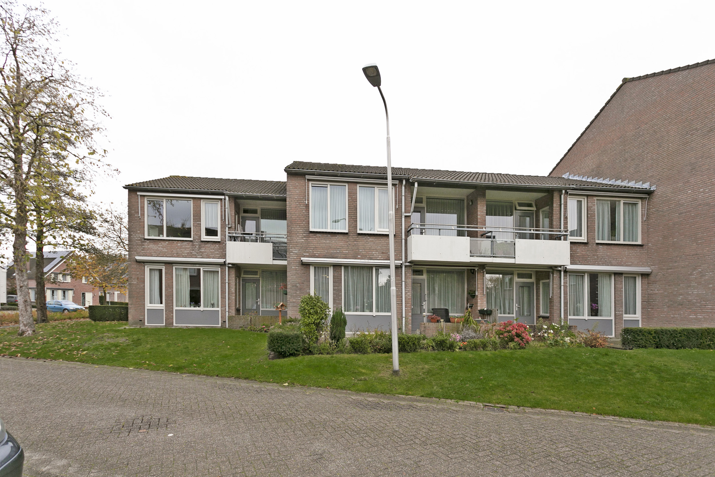 Goudsbloem 29