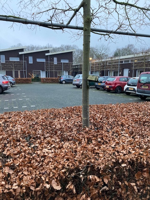 Van Rijckevorsellaan 28