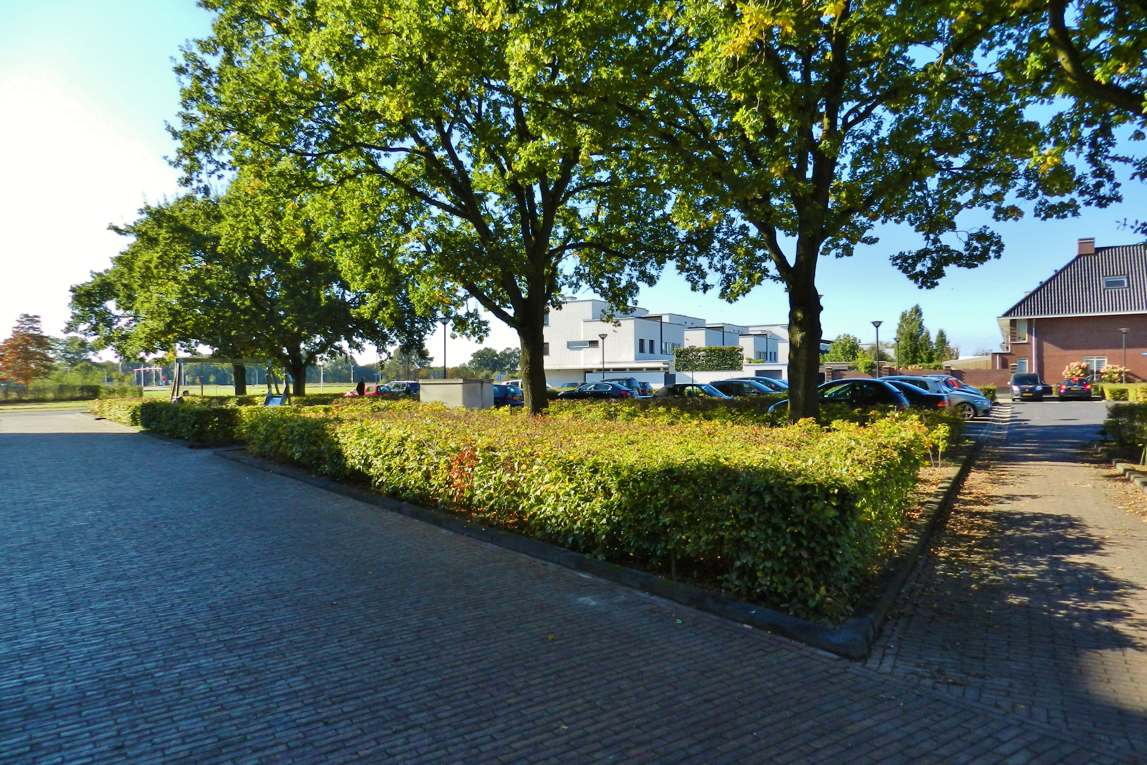 Vriezenveenstraat 10