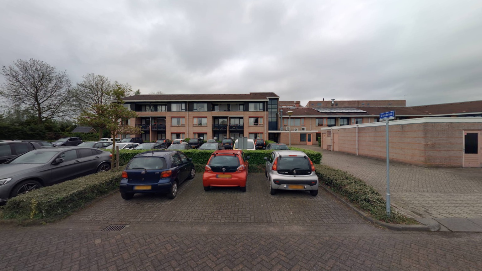 Goudvink 22