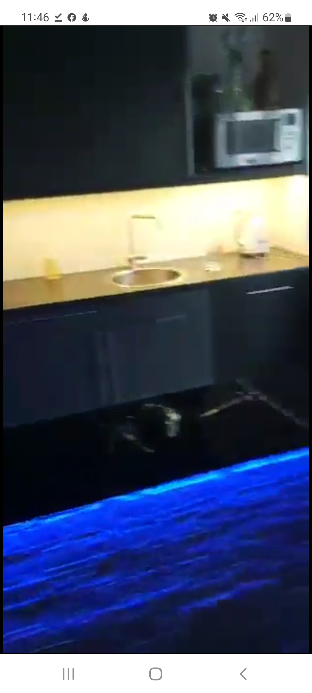 Lambert de Wijsstraat 3158