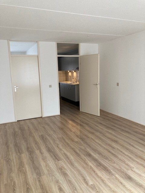 Van Heinsbergstraat 48