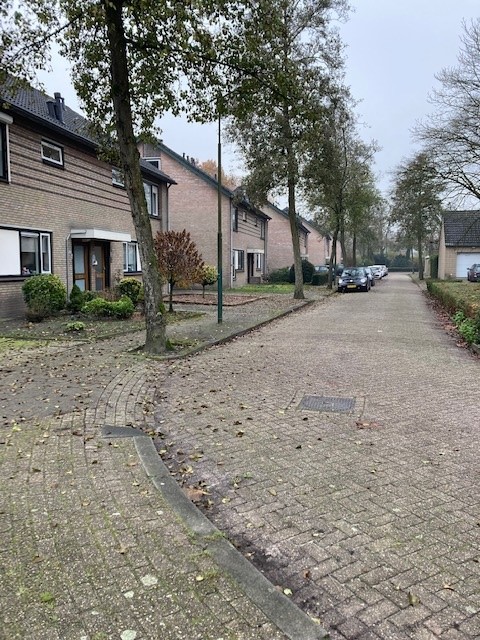 Kastanjestraat 67