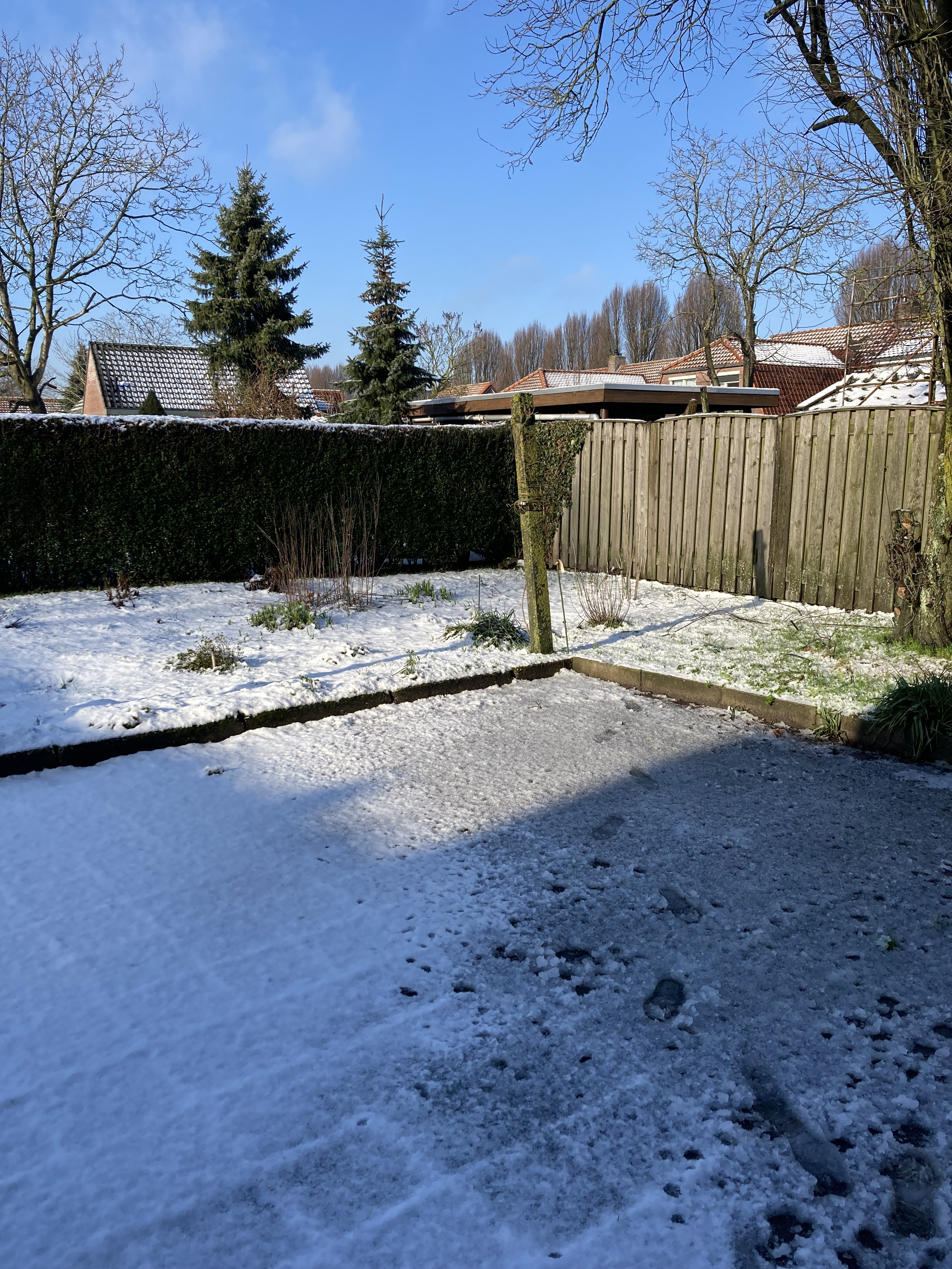 Schout van de Wouwstraat 2