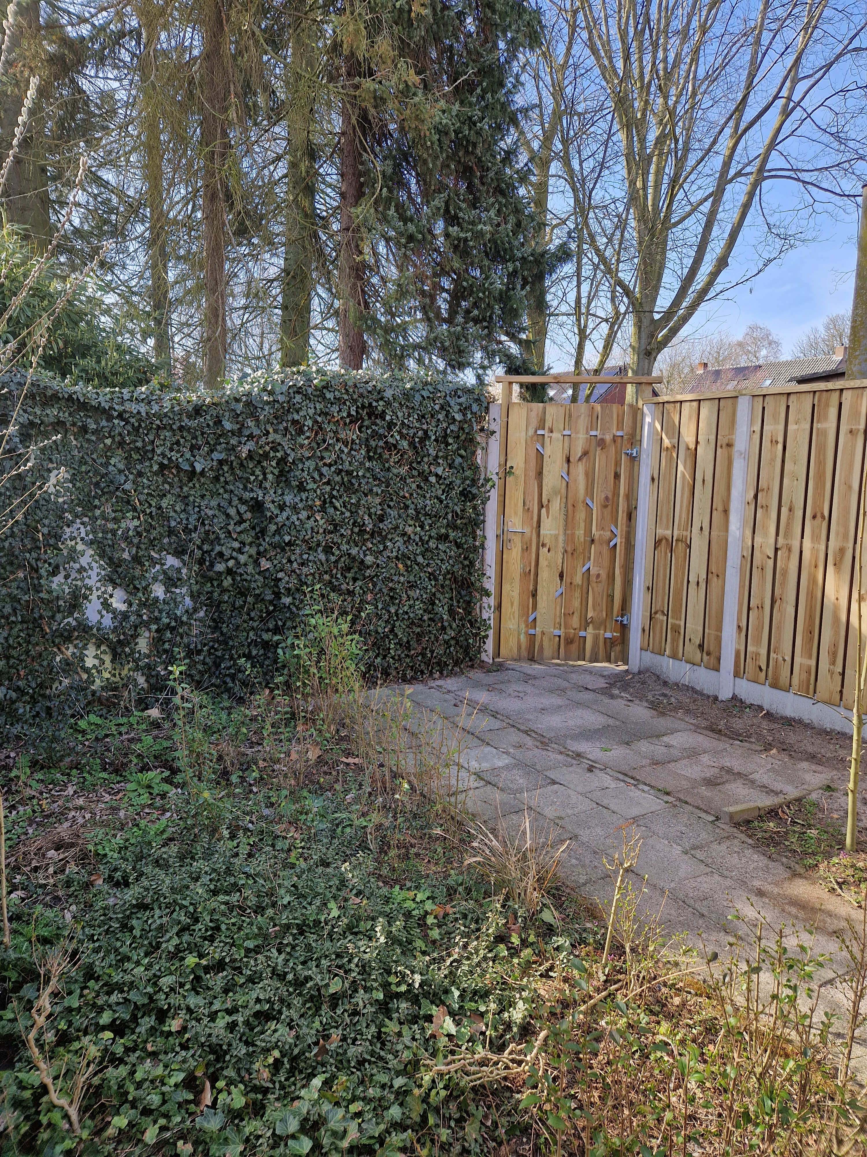 Burgemeester Molstraat 21