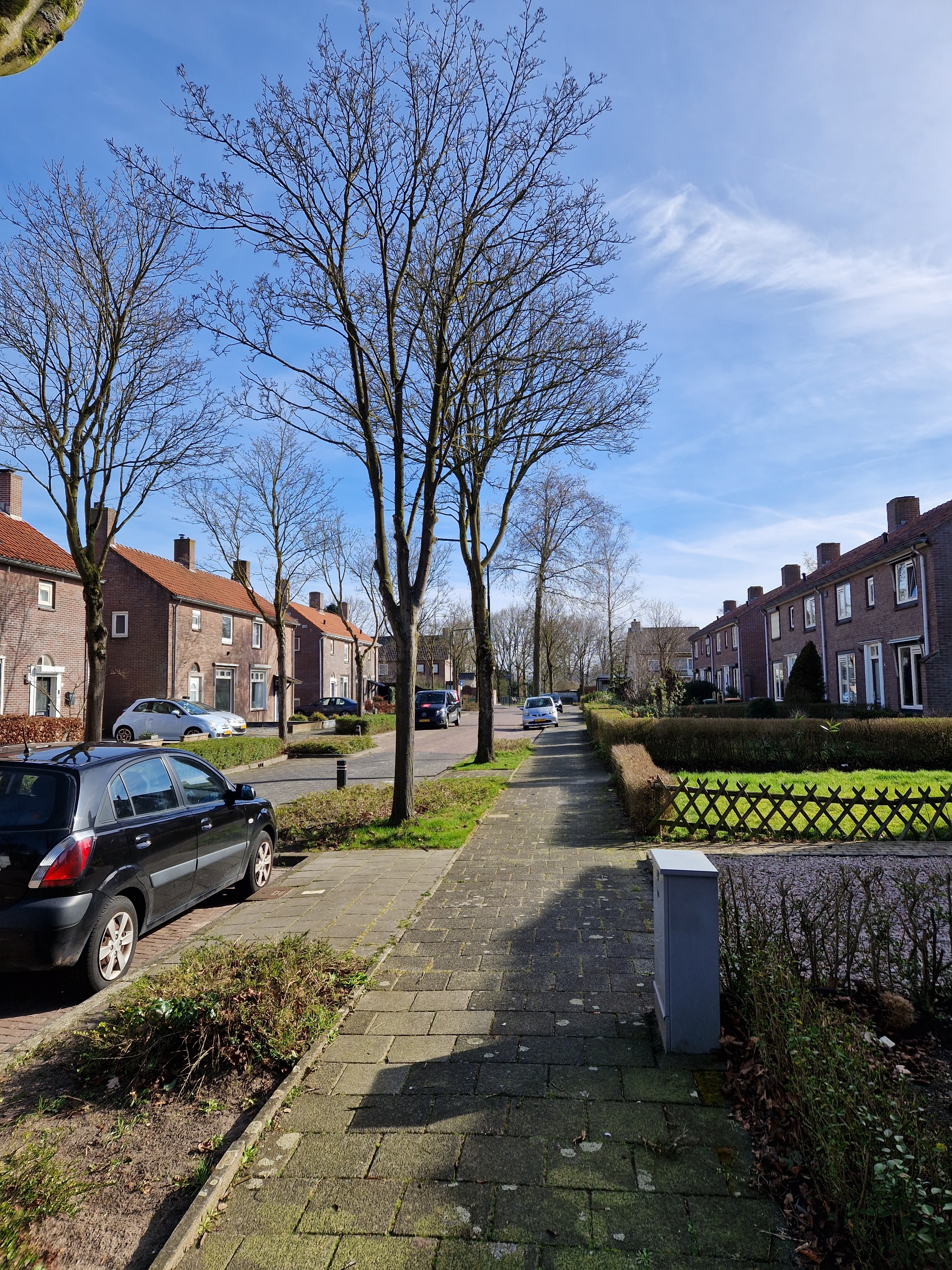 Burgemeester Molstraat 21