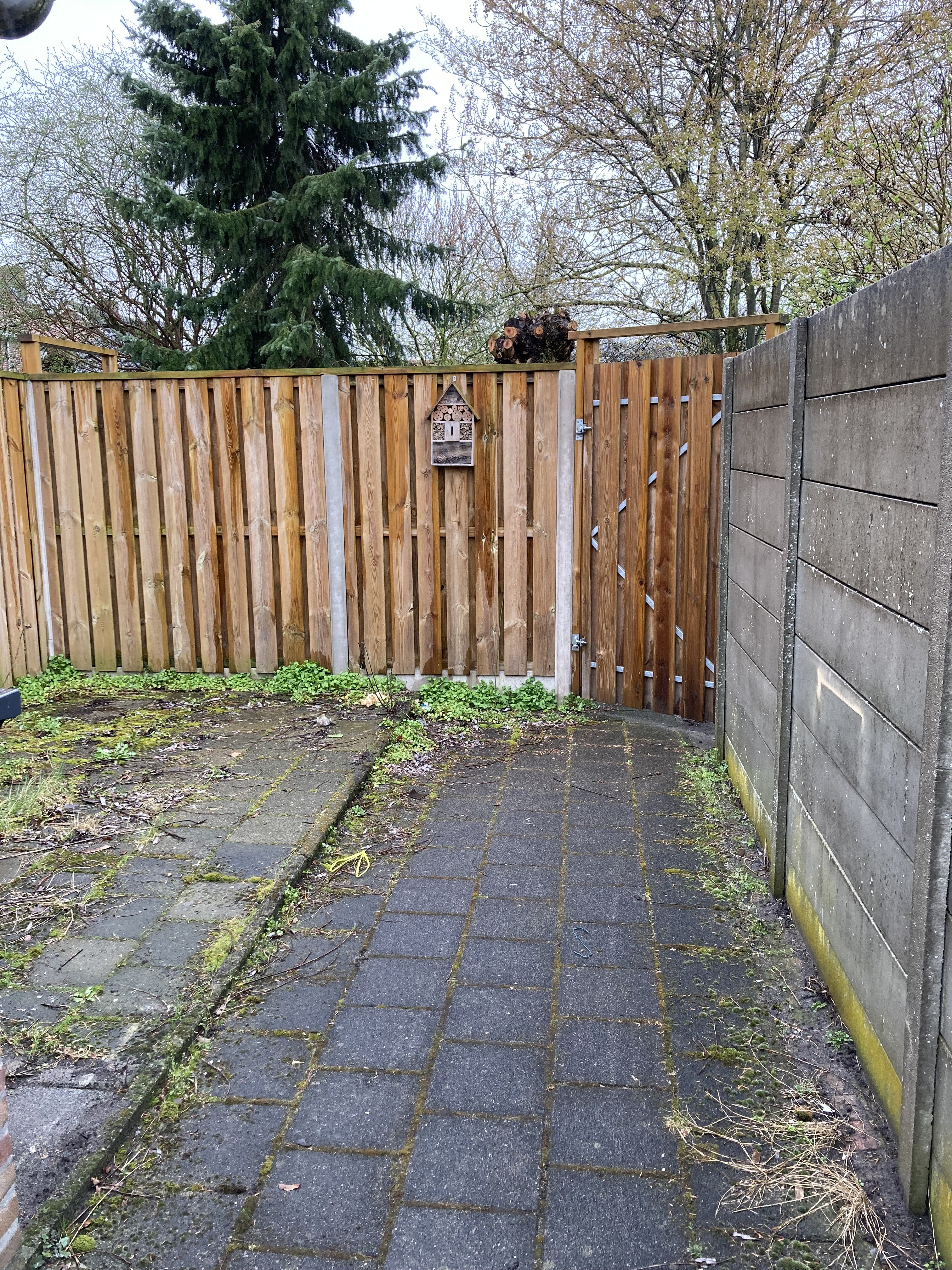 Burgemeester Molstraat 7