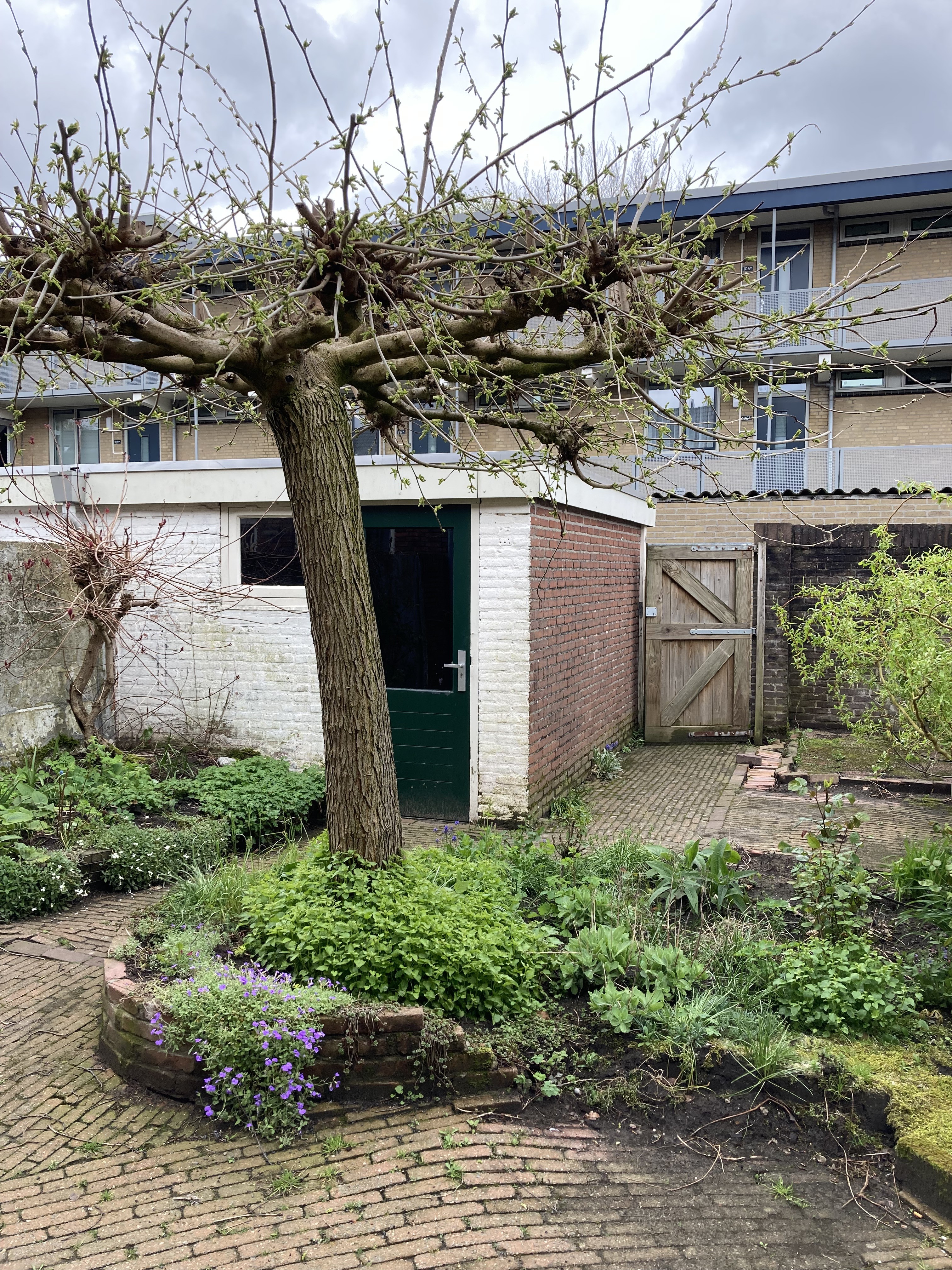 Graafschap Bokhovenstraat 16