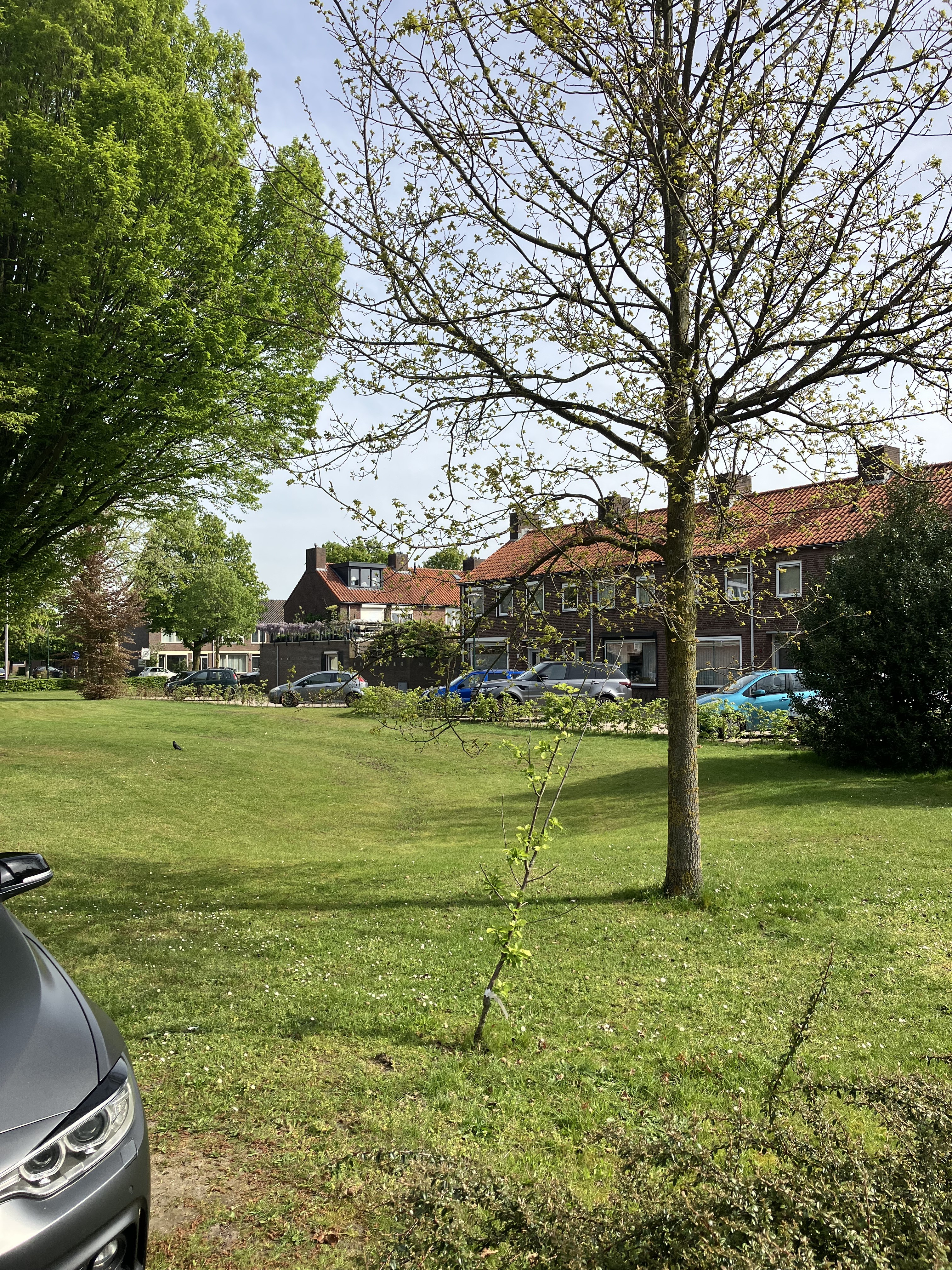 Hof van Liedekerke 16