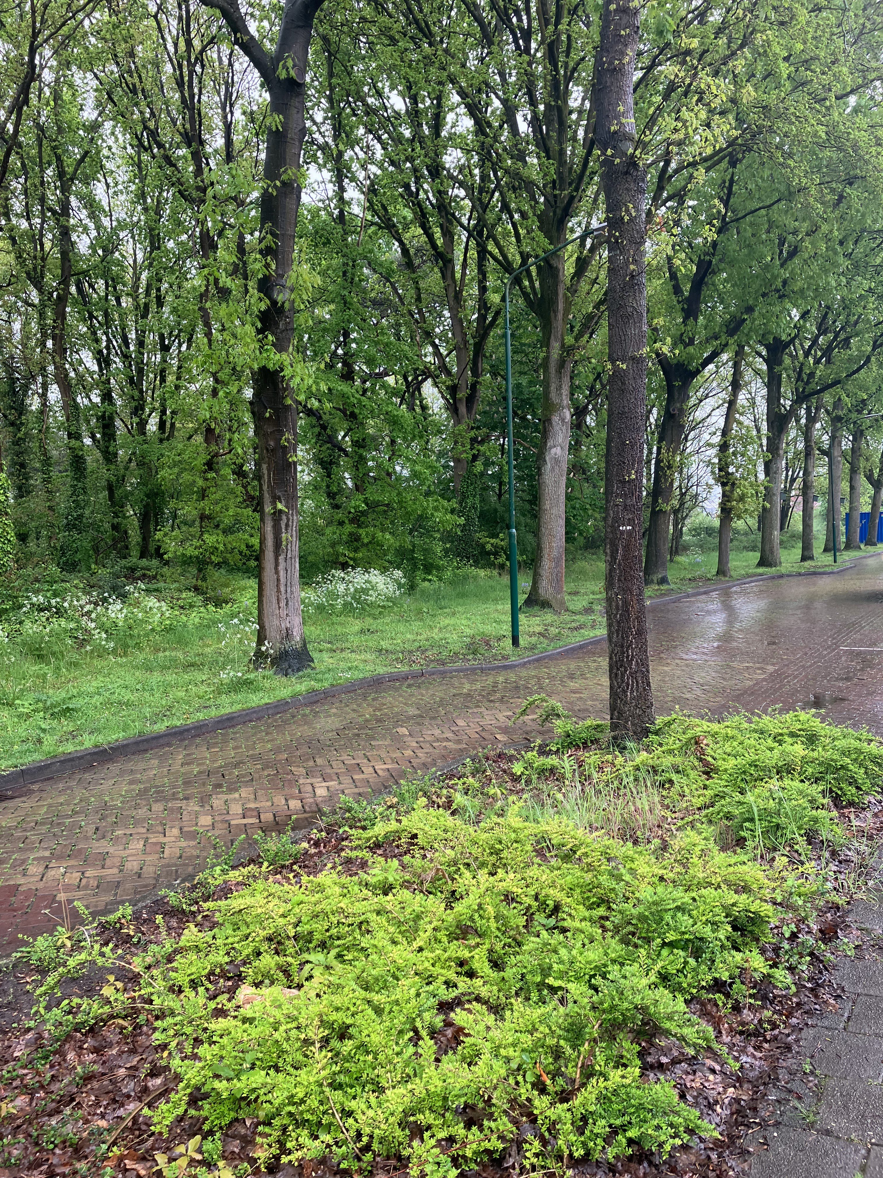 Generaal van Geenstraat 18