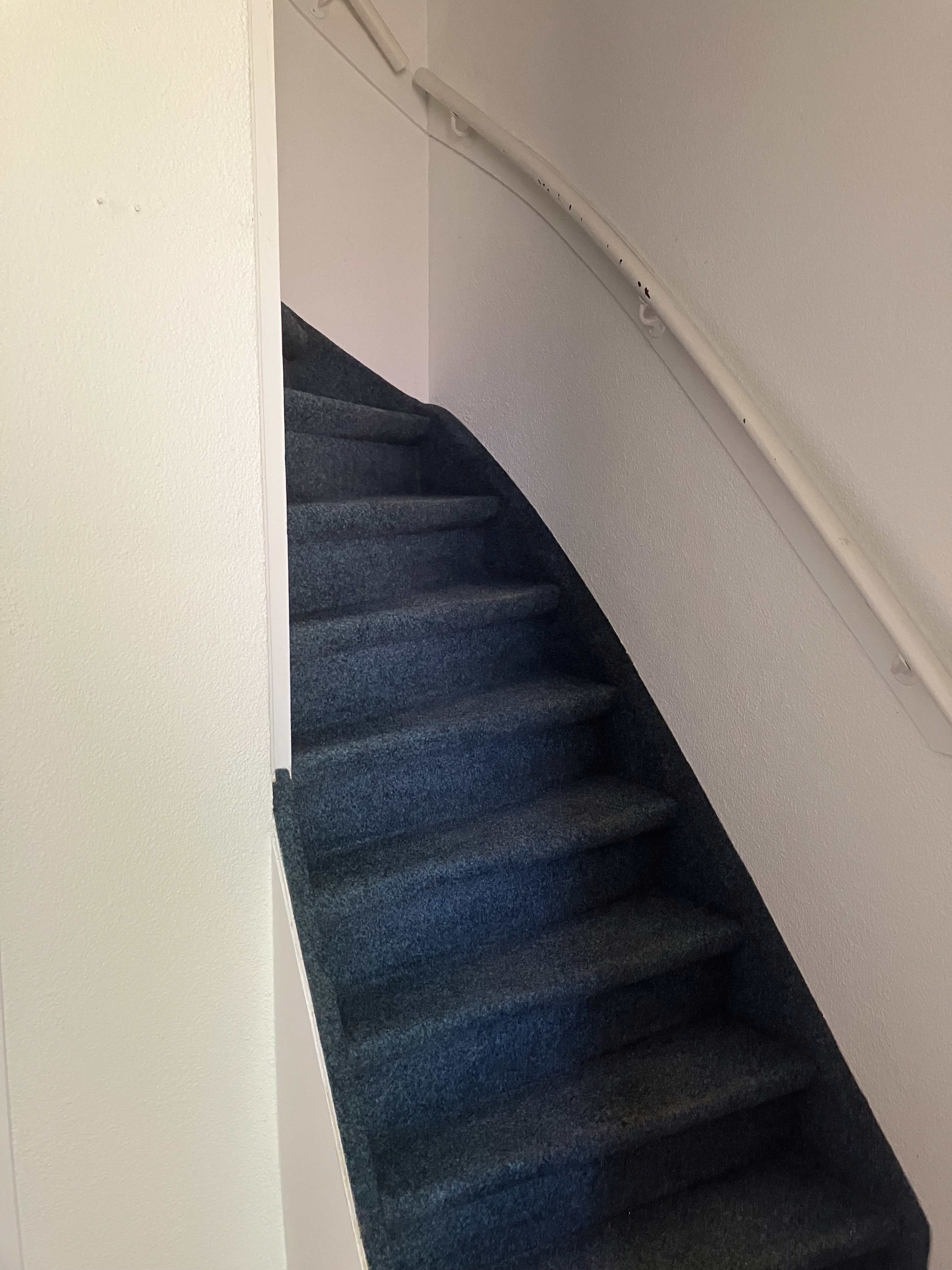 Willem de Zwijgerlaan 48