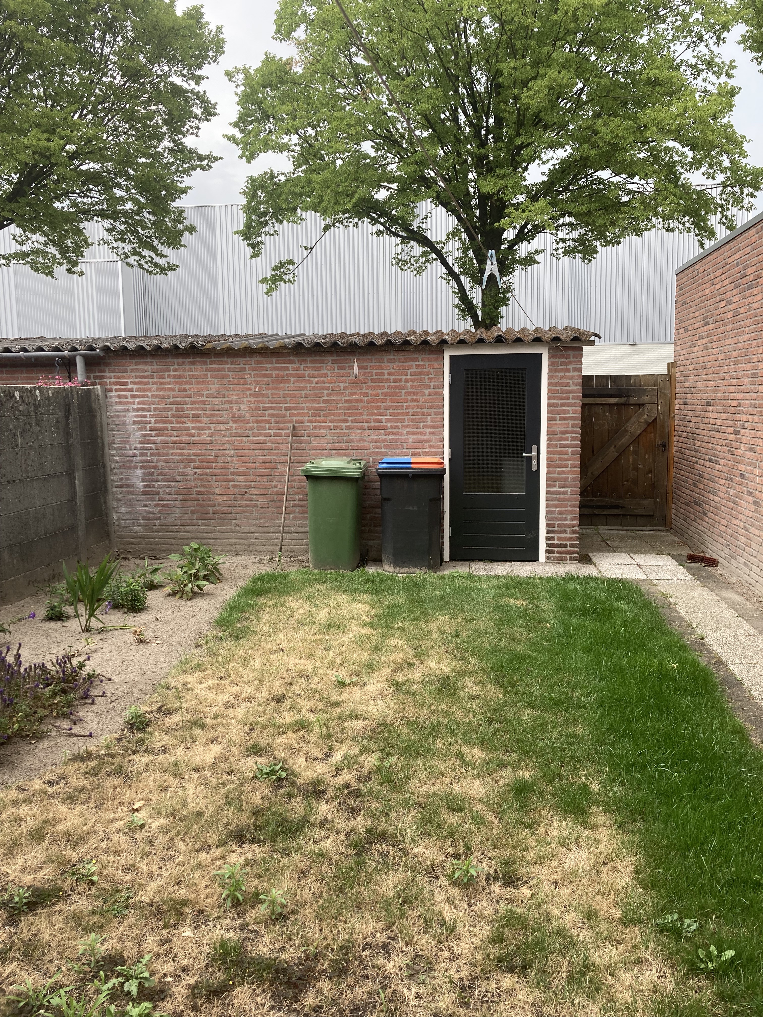 Tobias Asserstraat 10