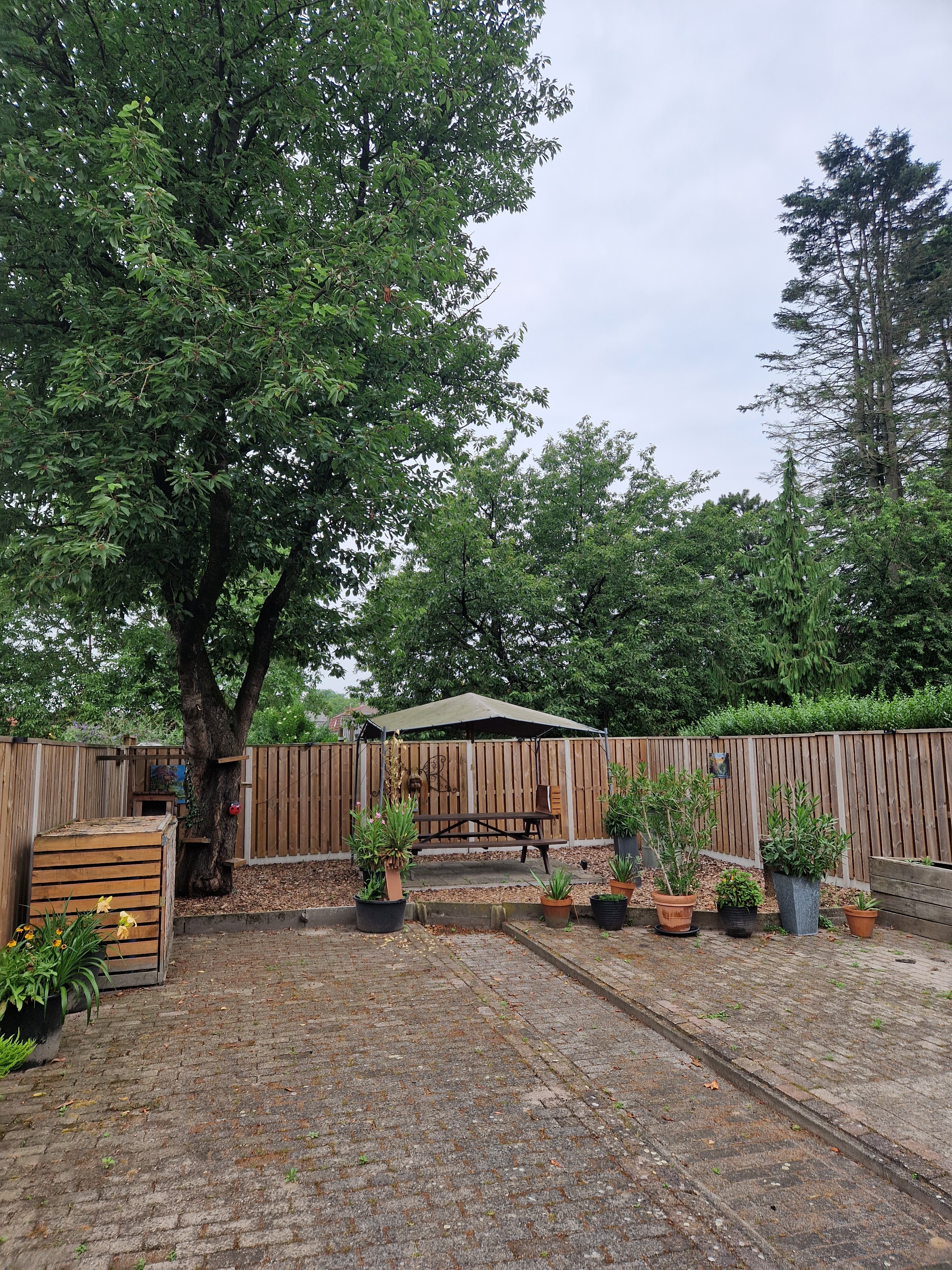 Burgemeester Molstraat 17