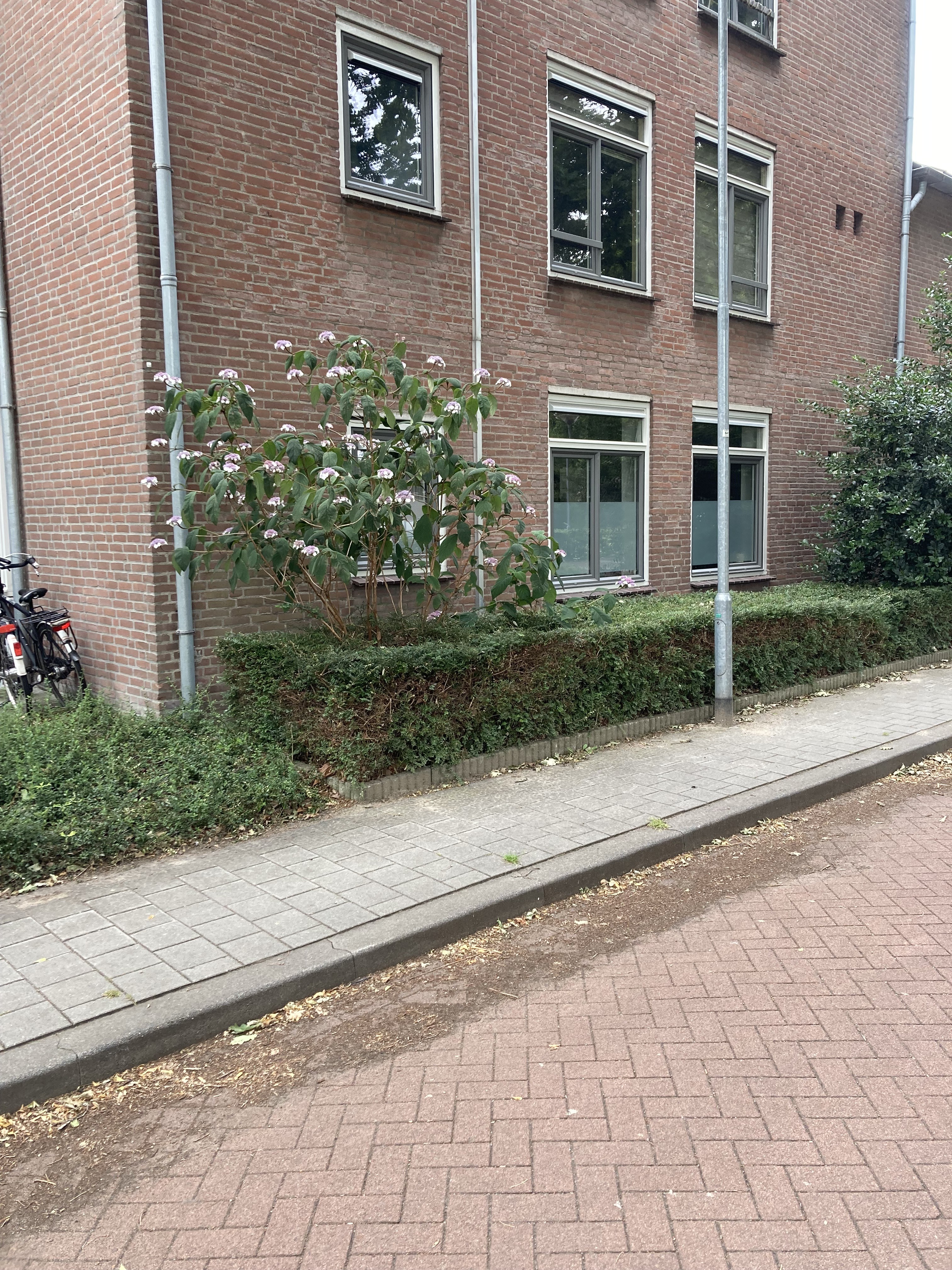 Beukengaard 14, 5051 ZE Goirle, Nederland