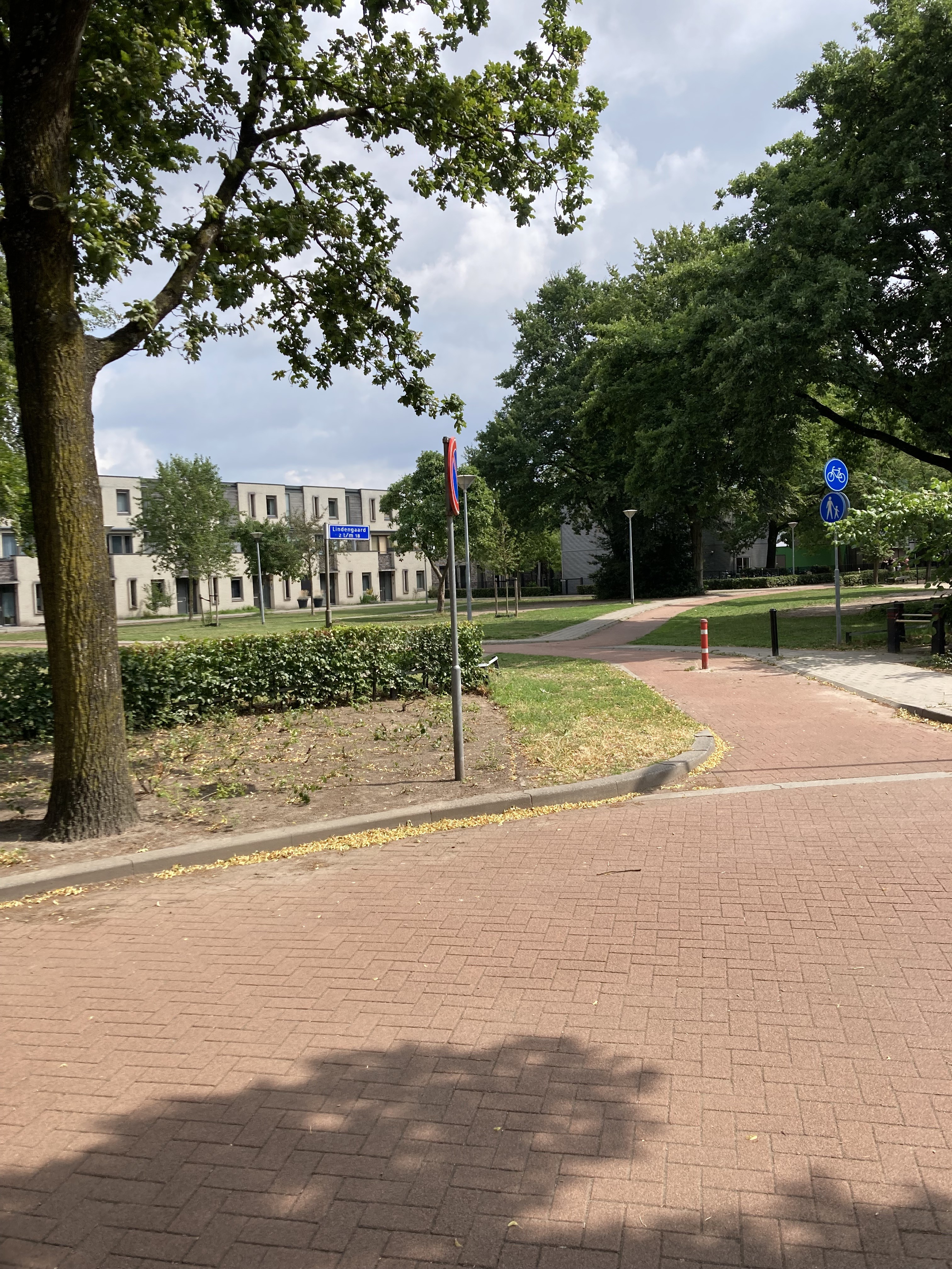 Beukengaard 14