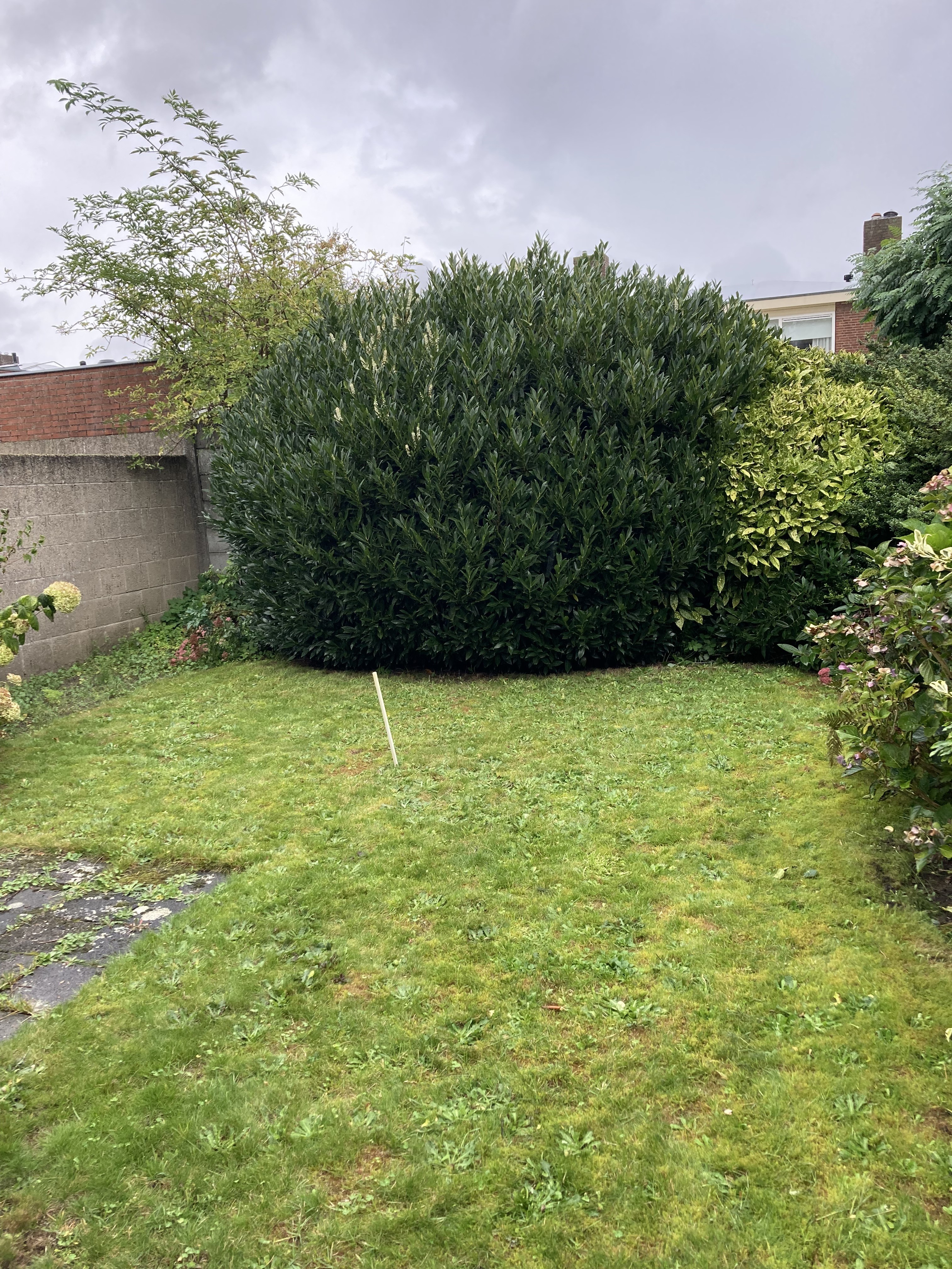 Burgemeester van Gorpstraat 14