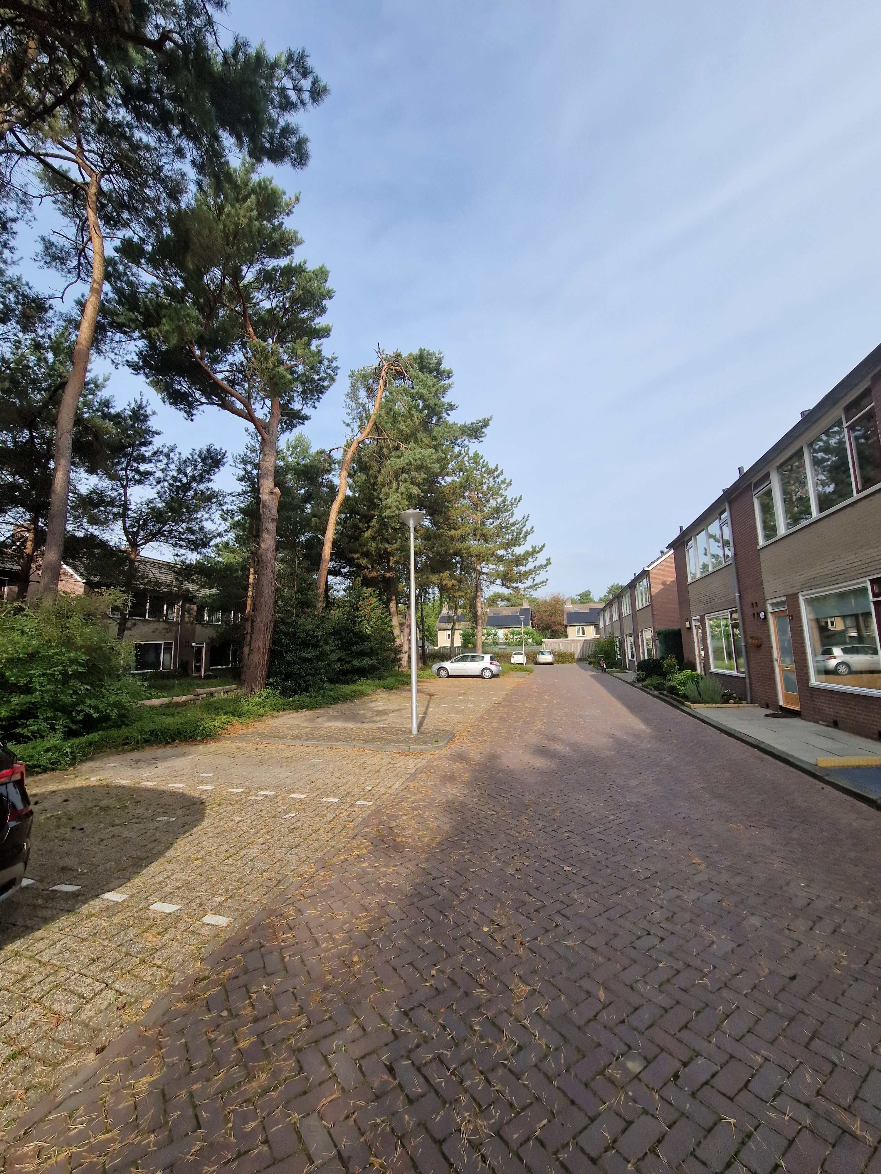 Van Slingelandthof 6