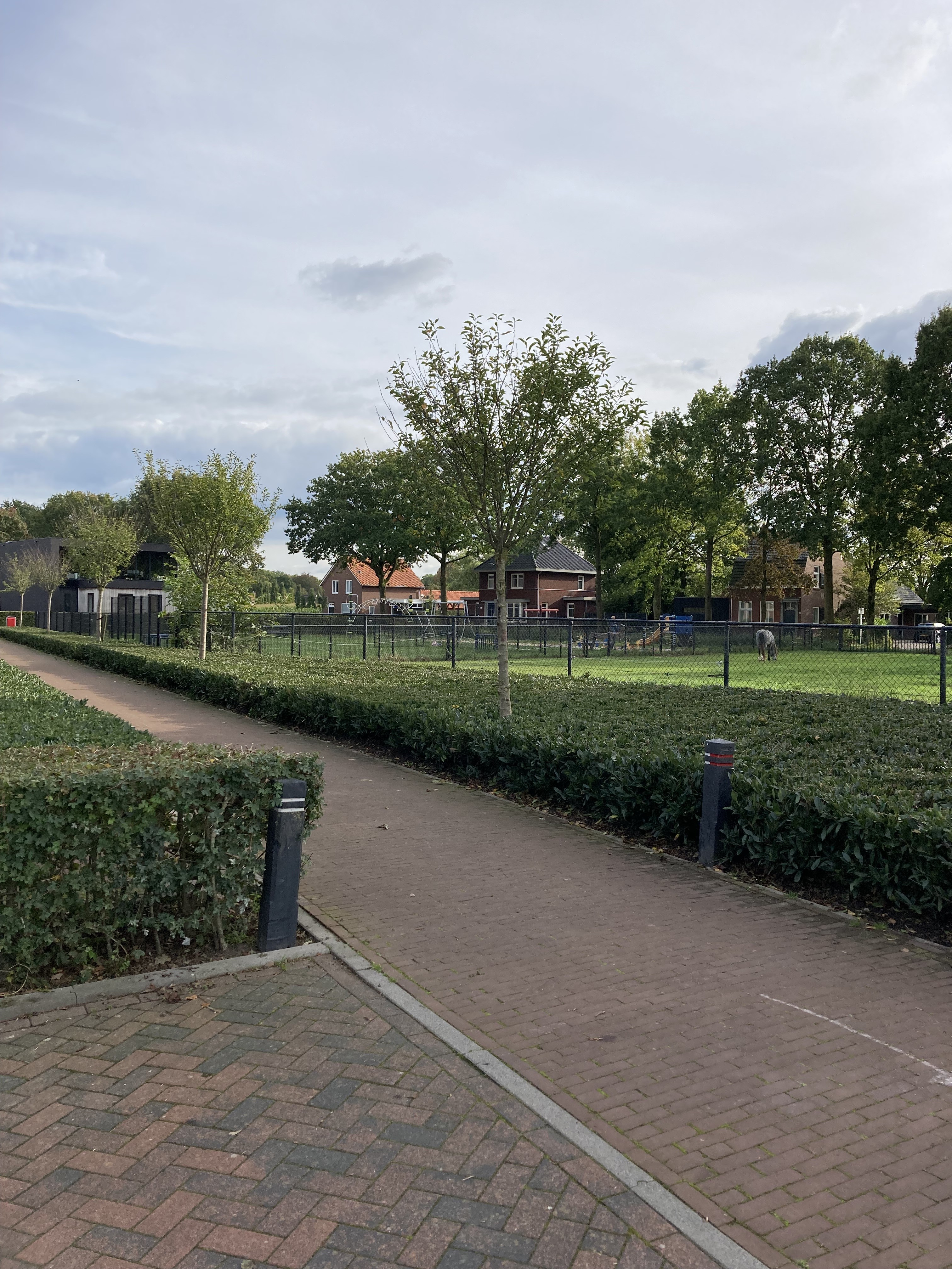 Gebroeders Aartspad 20