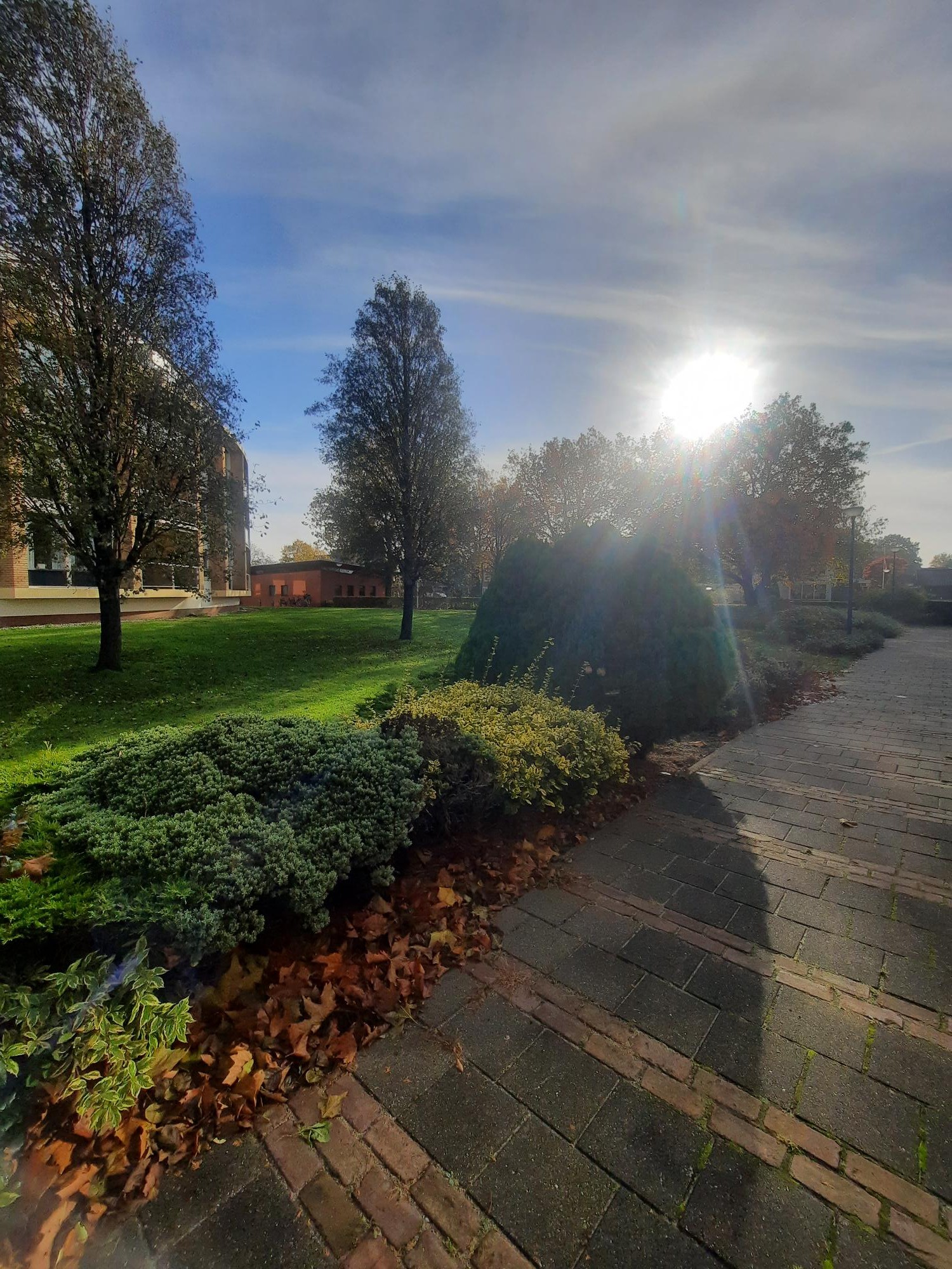 Hendrikus Chabotstraat 112