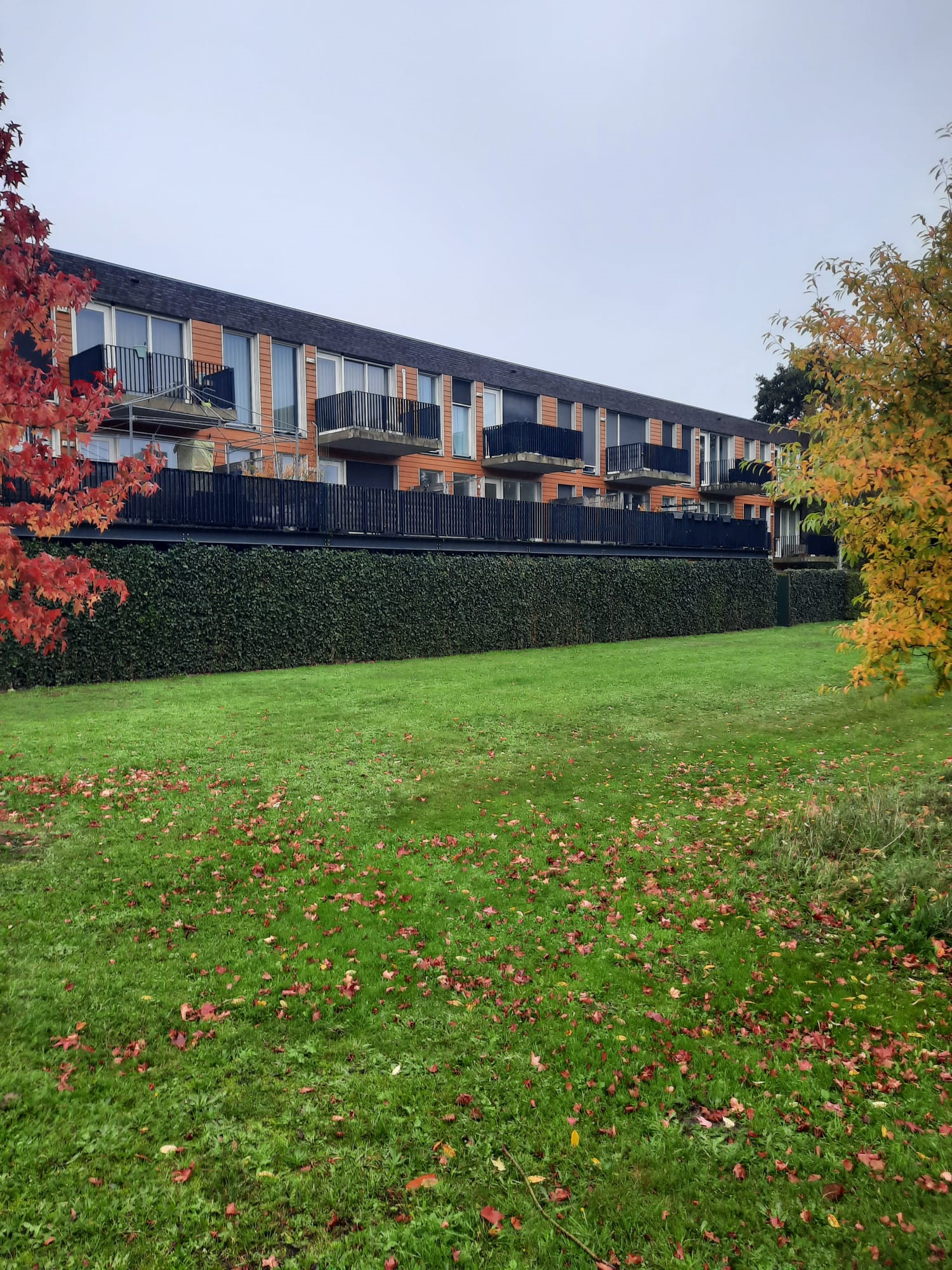 Burgemeester van Prooijenstraat 54