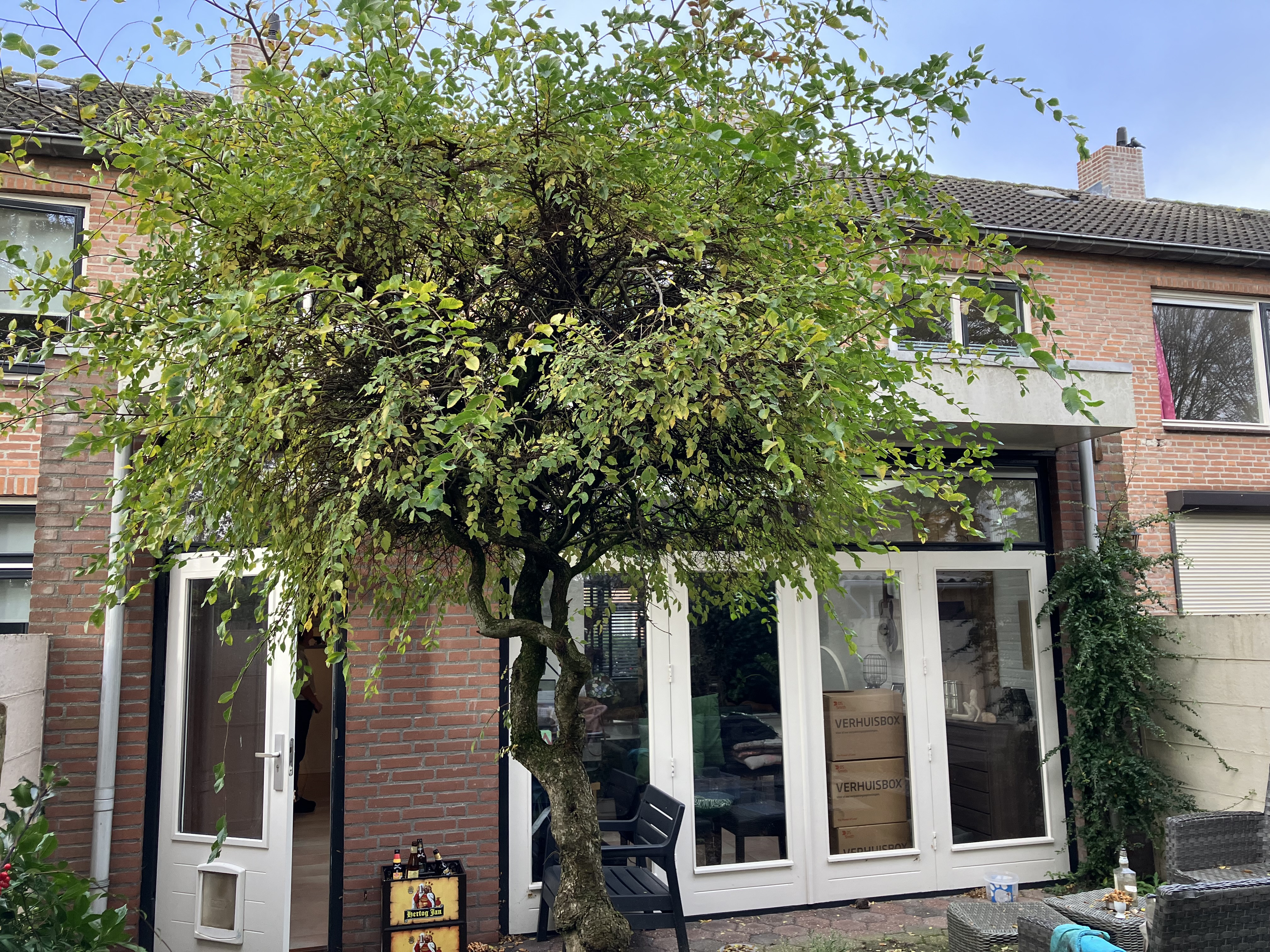 Tobias Asserstraat 24