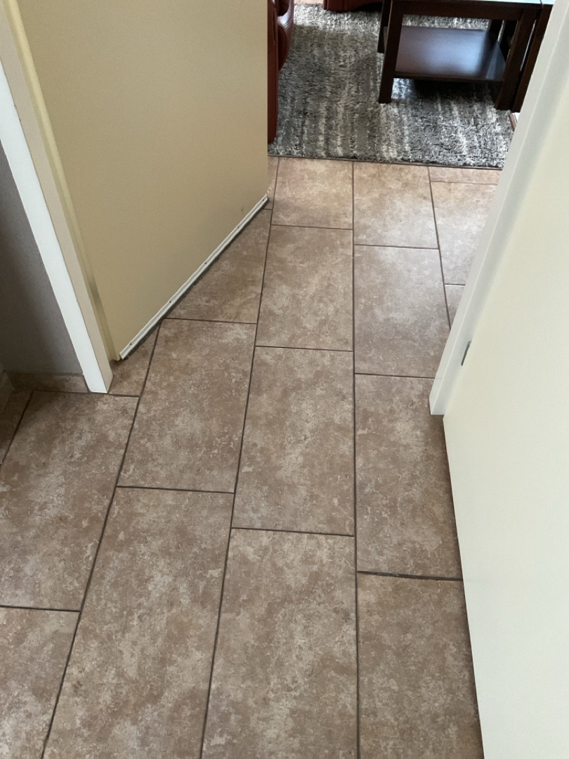 Pieter Bruegelstraat 1