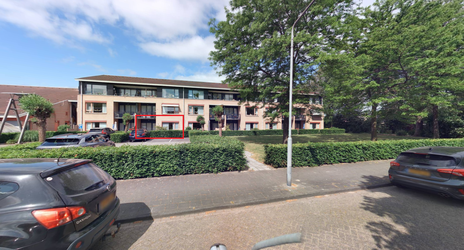 Goudvink 4