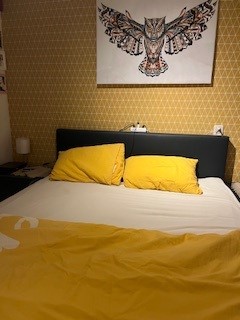 Constantijnstraat 23