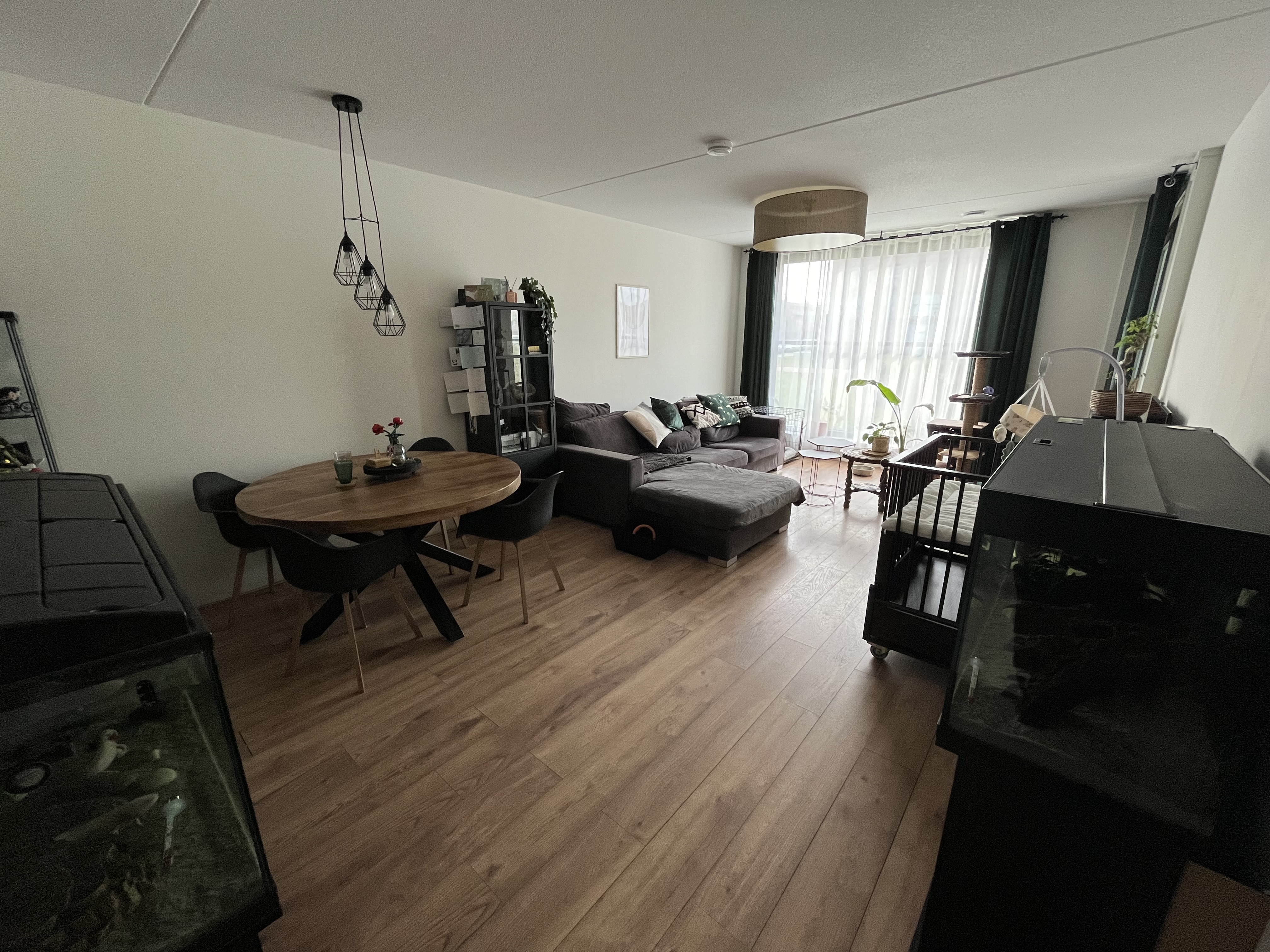 Kolhamhof 6, 5045 PM Tilburg, Nederland