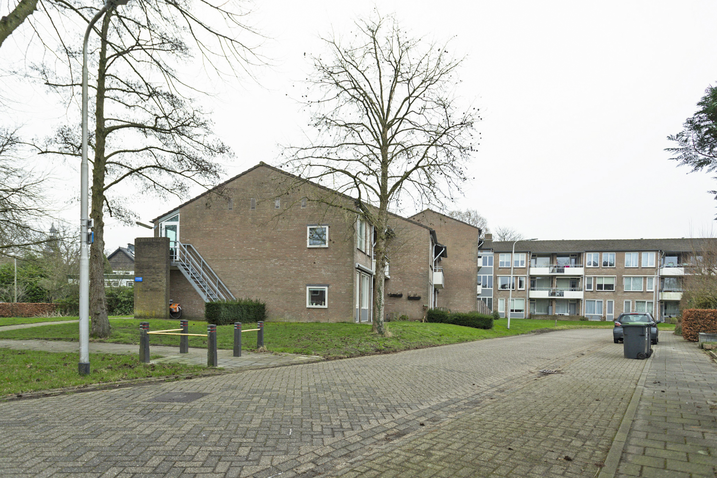 Goudsbloem 43