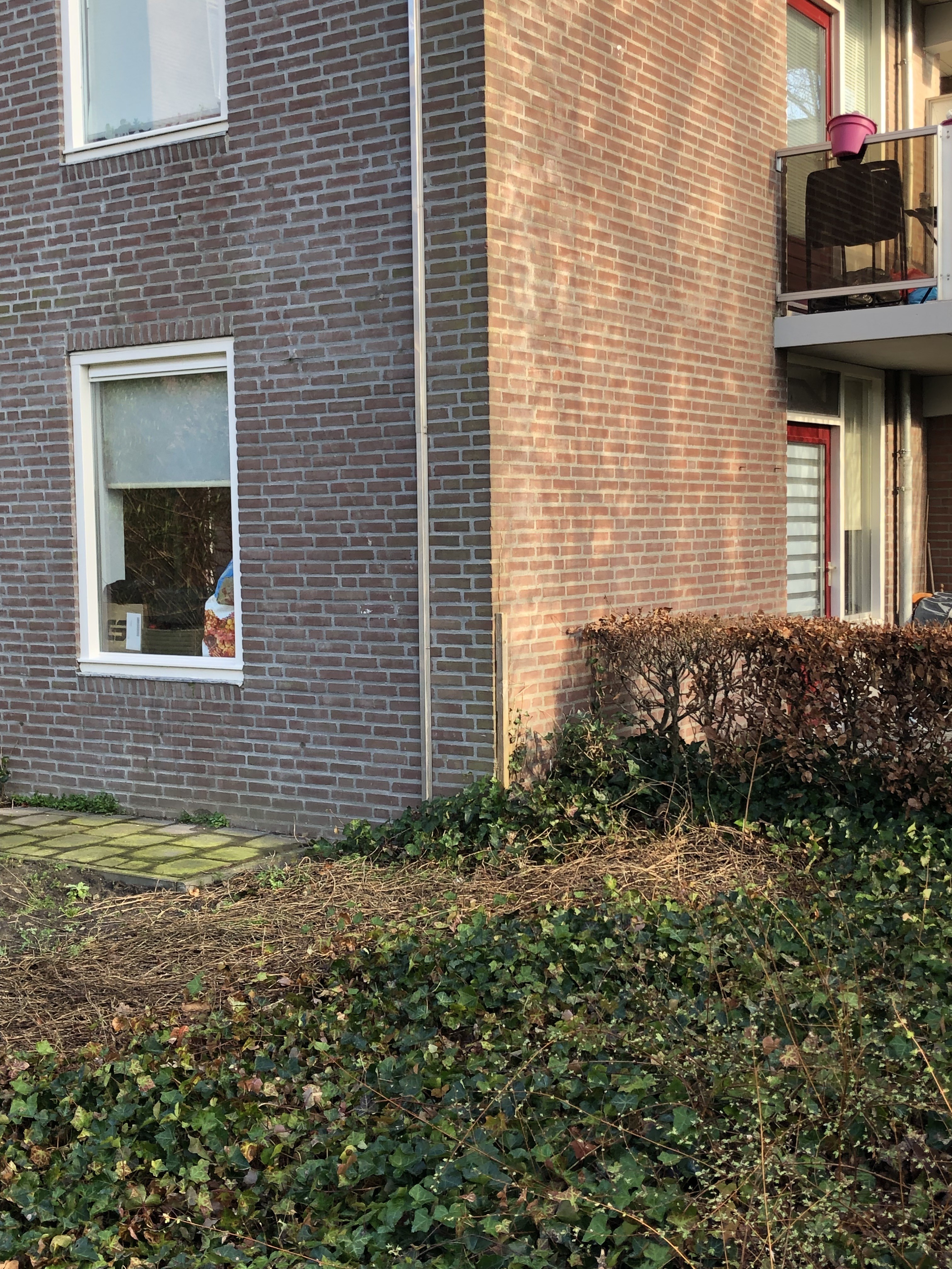 Vendelierhof 35, 5051 JW Goirle, Nederland