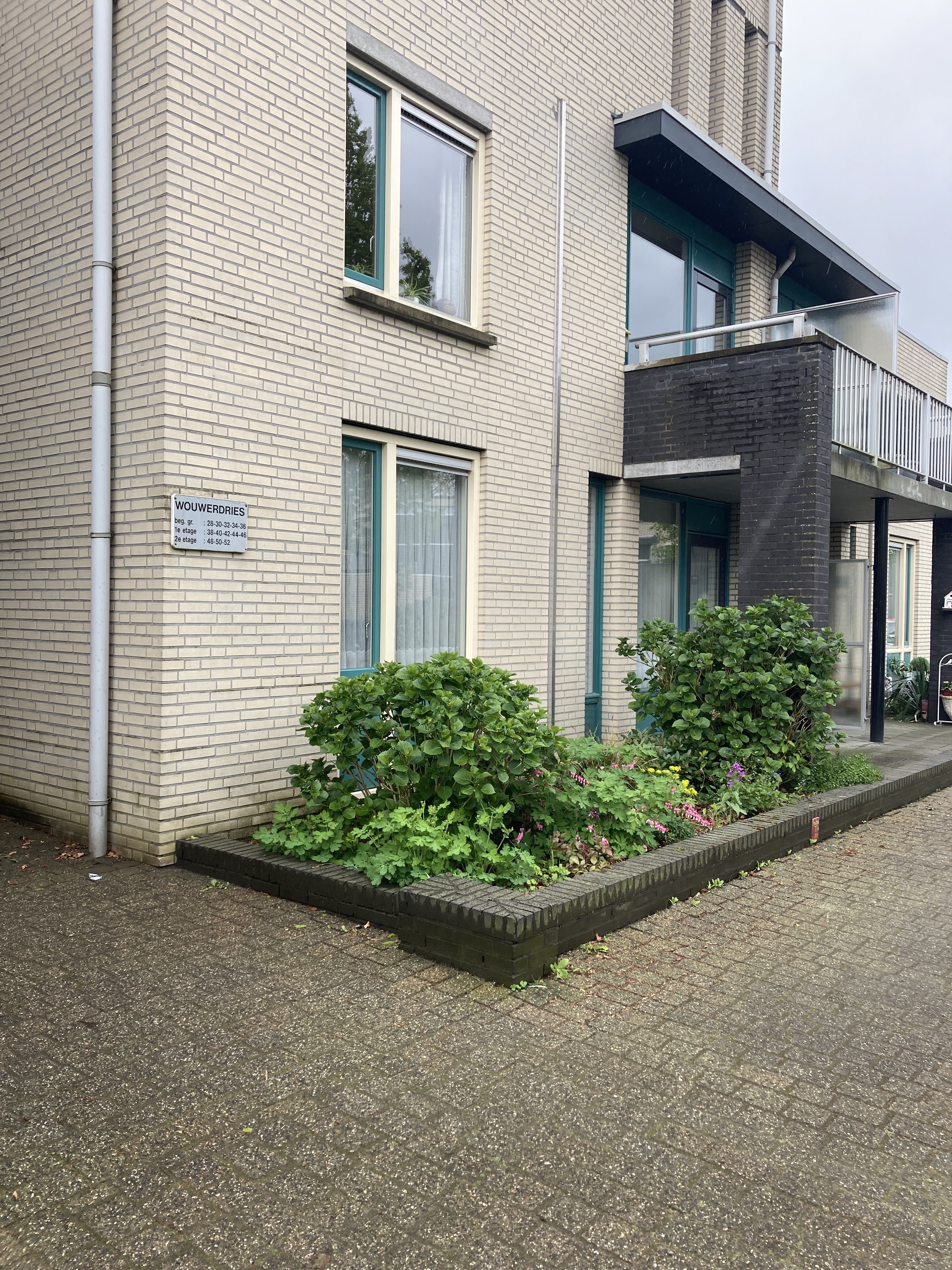 Wouwerdries 30, 5081 VX Hilvarenbeek, Nederland