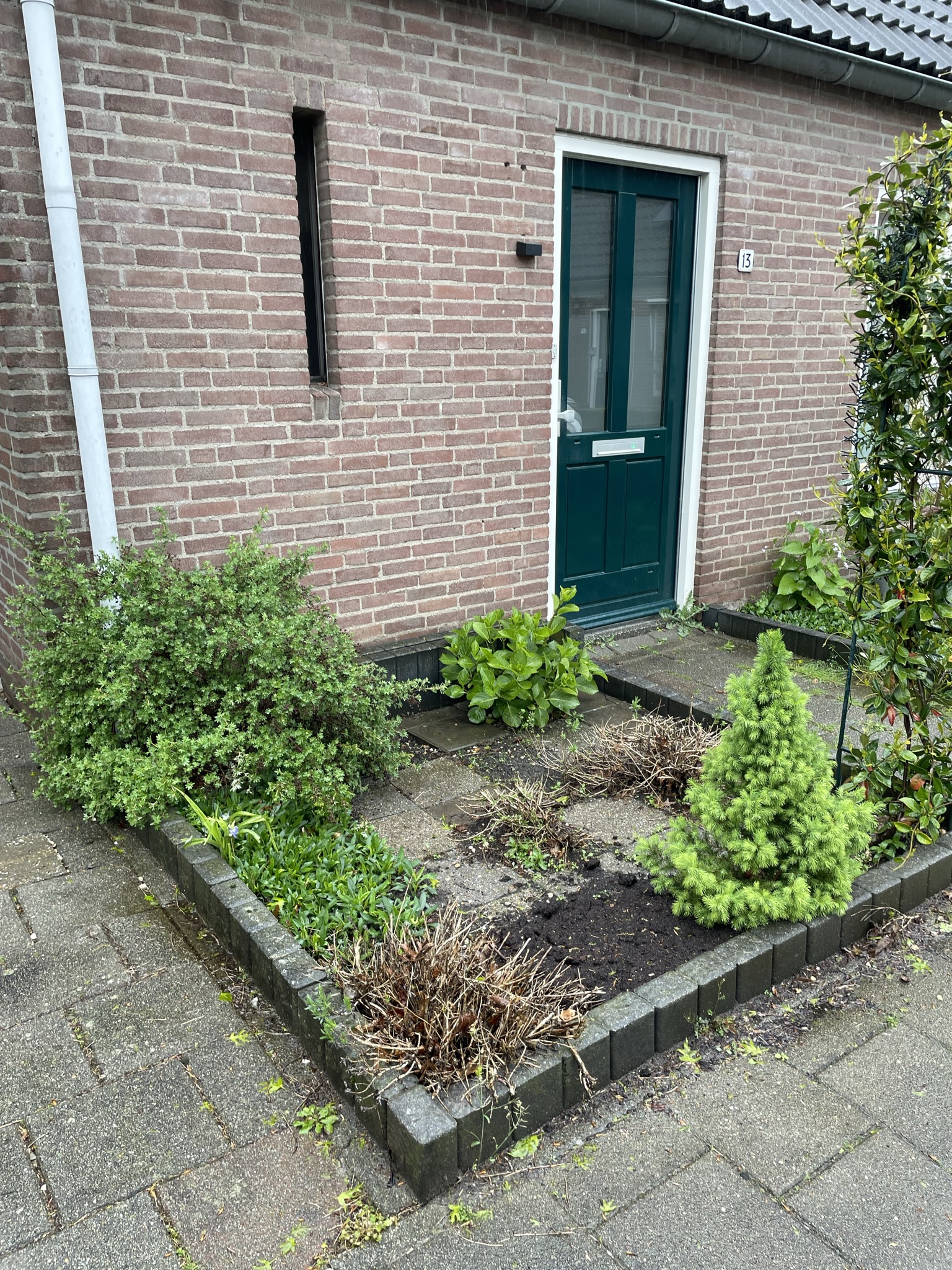Madeliefstraat 13
