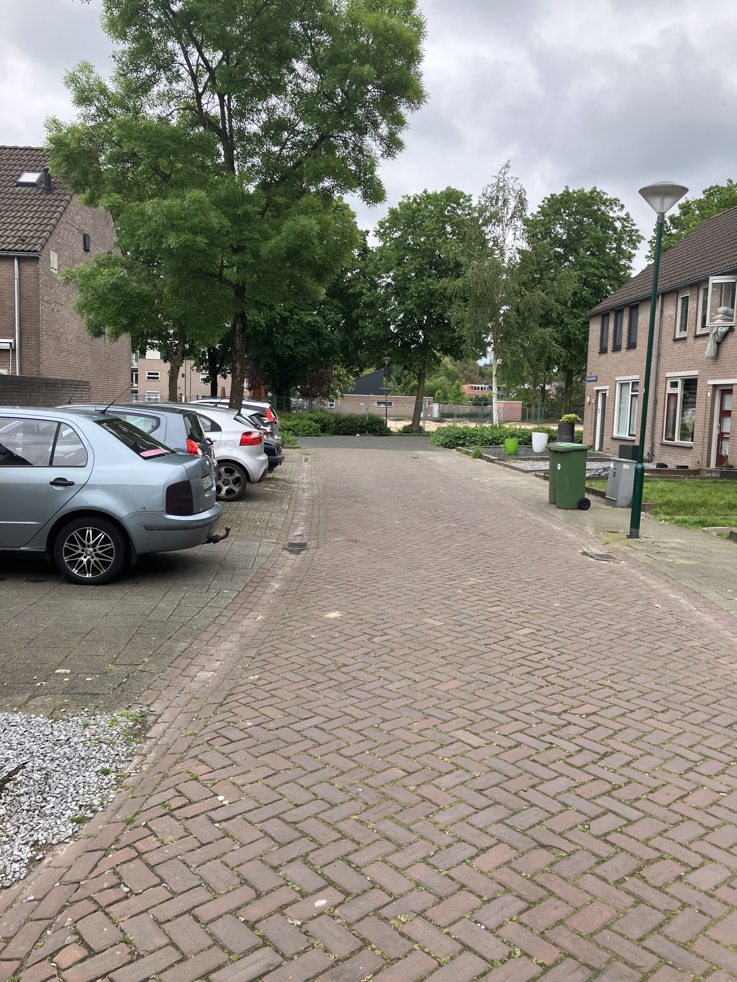 Van Petersheimstraat 4