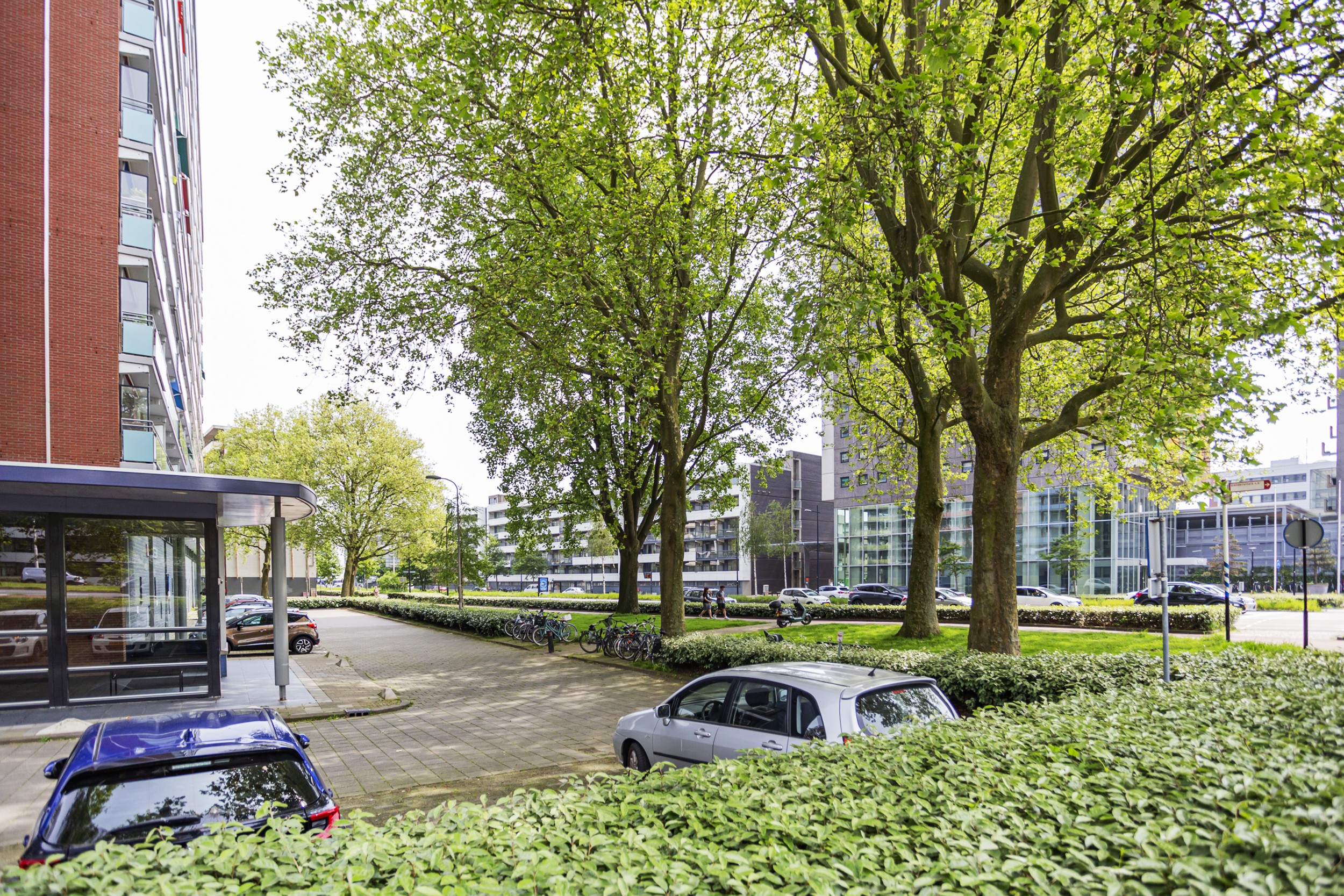 Hart van Brabantlaan 773