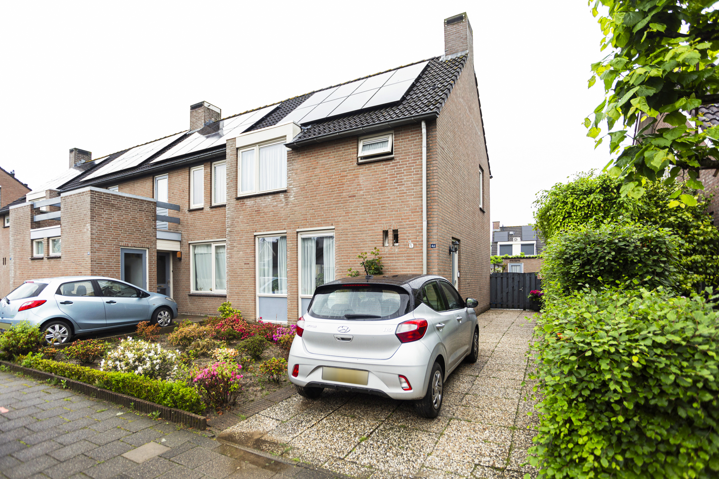 Goudsbloem 46
