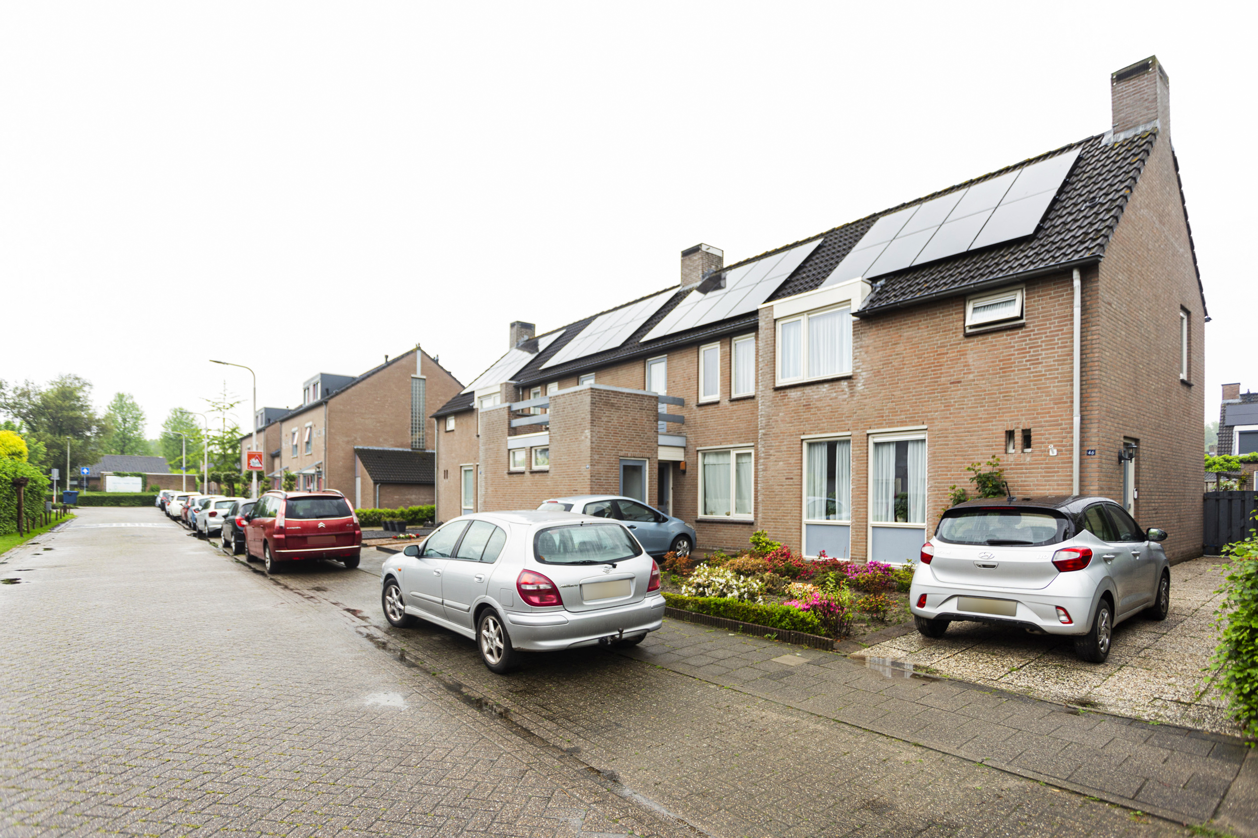 Goudsbloem 46