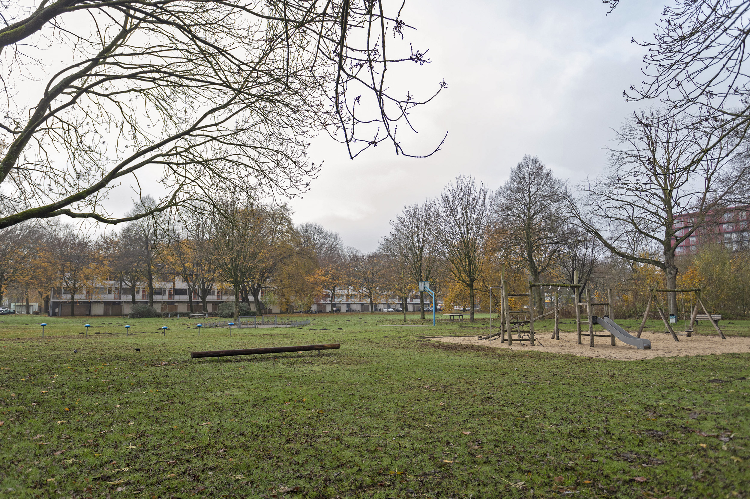 Bellinistraat 349