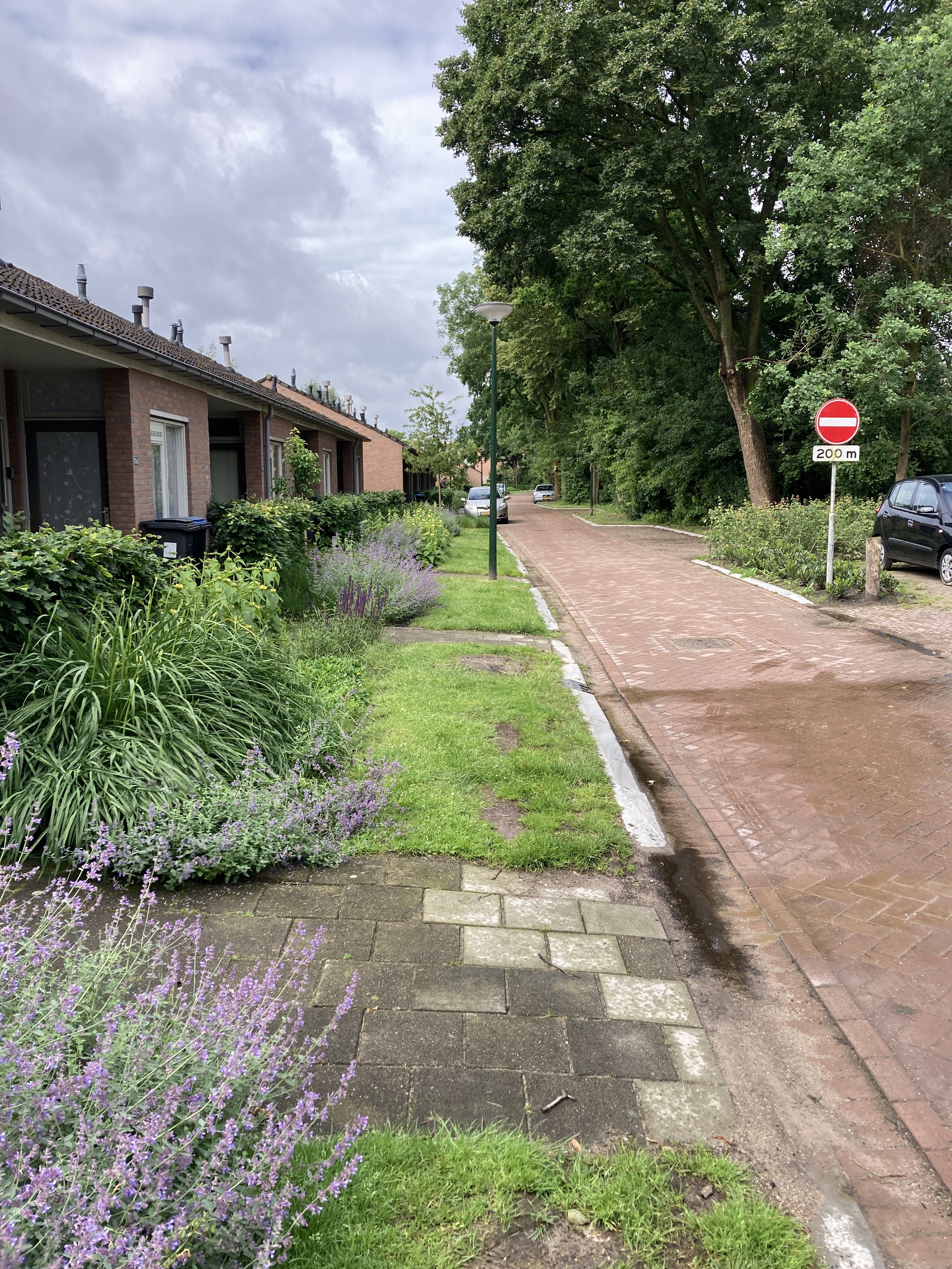 Rijpperdapad 106