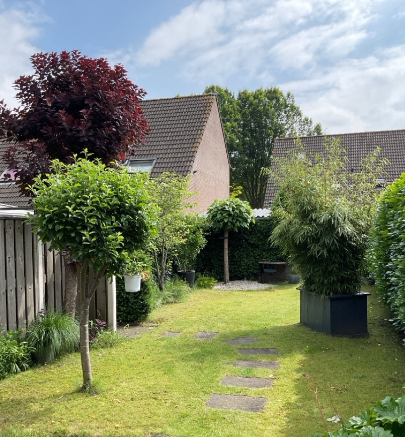 Schutsboomstraat 17