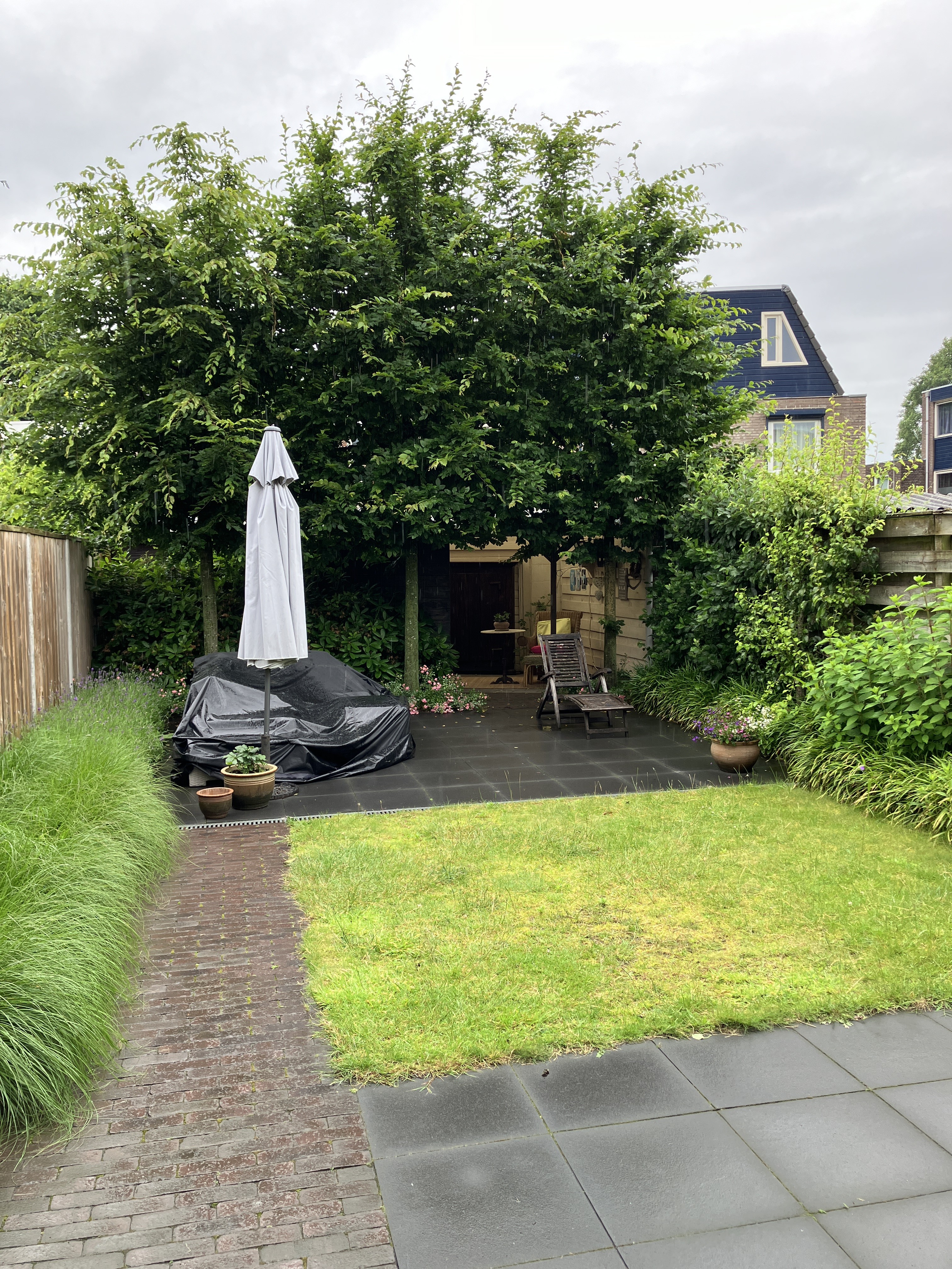 Thomas van Diessenstraat 51
