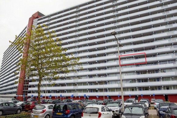 Hoffmannlaan 299