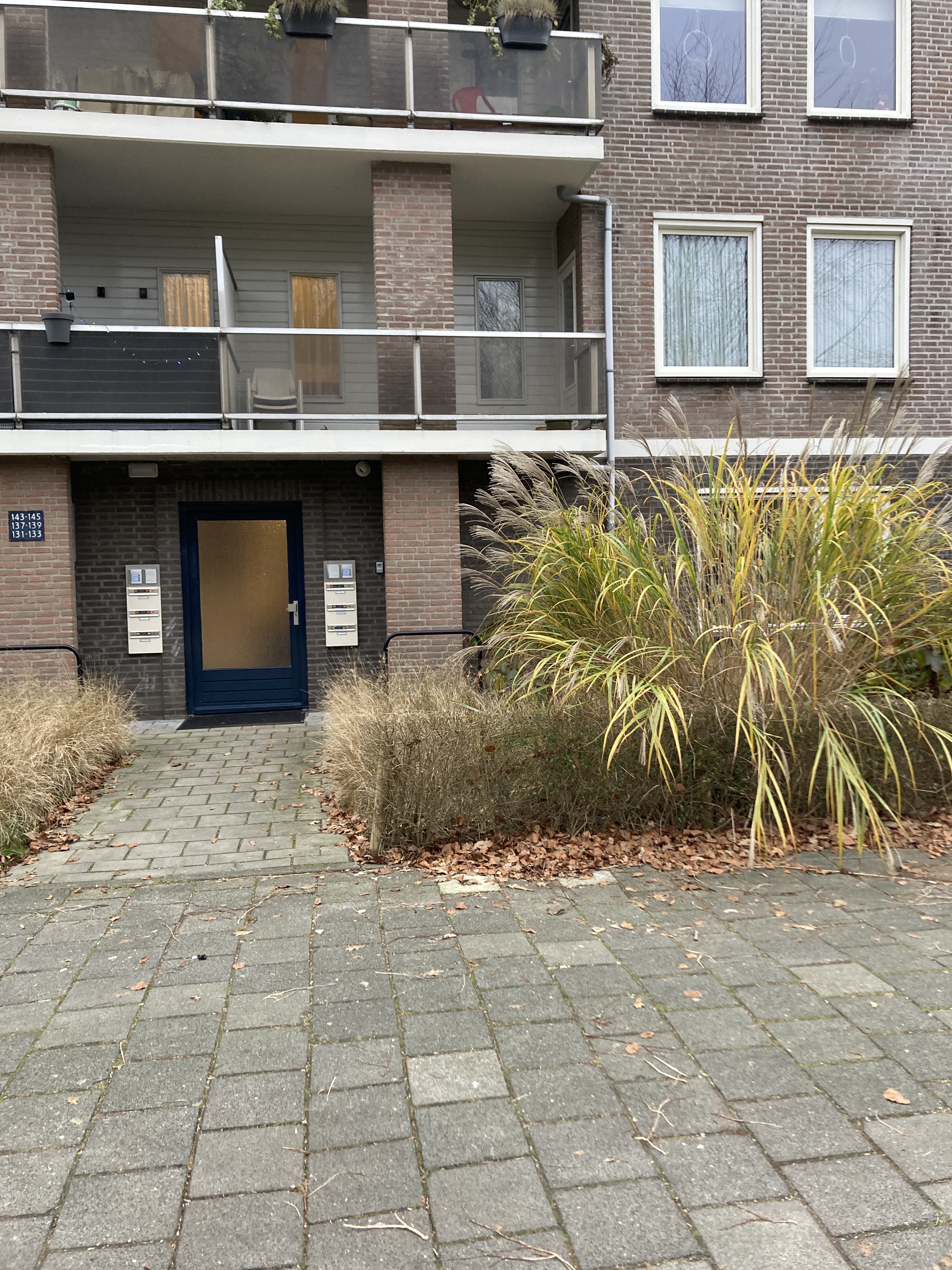 Terburghtweg 133