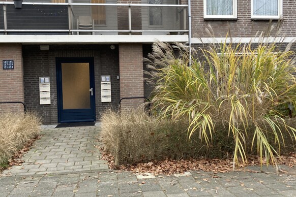 Terburghtweg 133