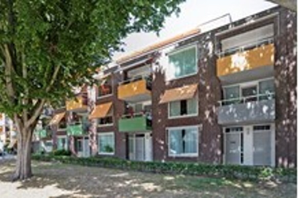 Albertus Magnusstraat 55