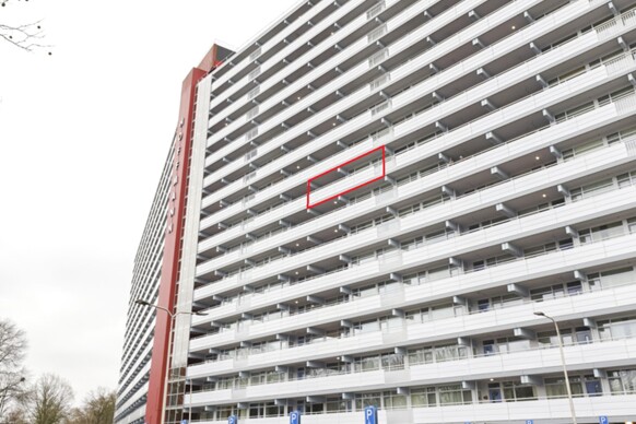 Hoffmannlaan 379