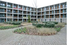 Barend Busnacstraat 50